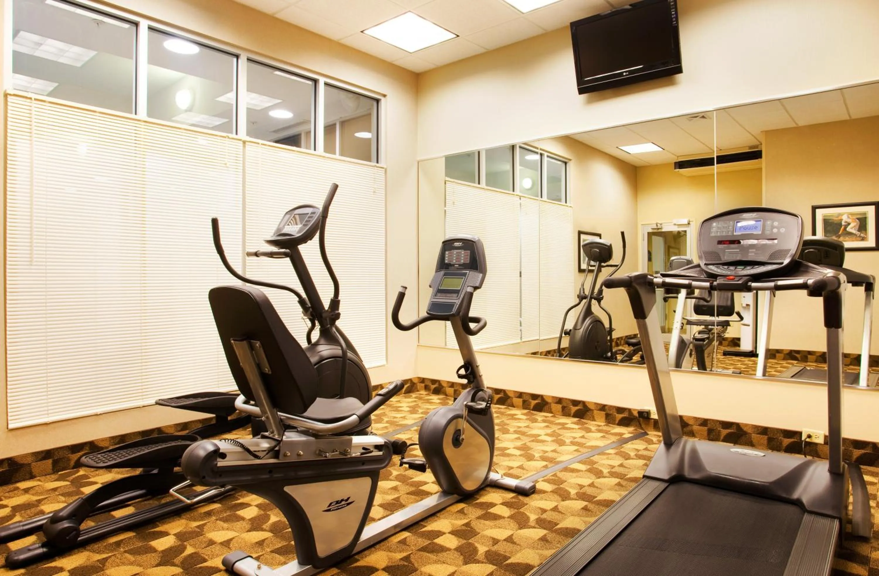 Fitness centre/facilities in Holiday Inn Aurora North - Naperville by IHG