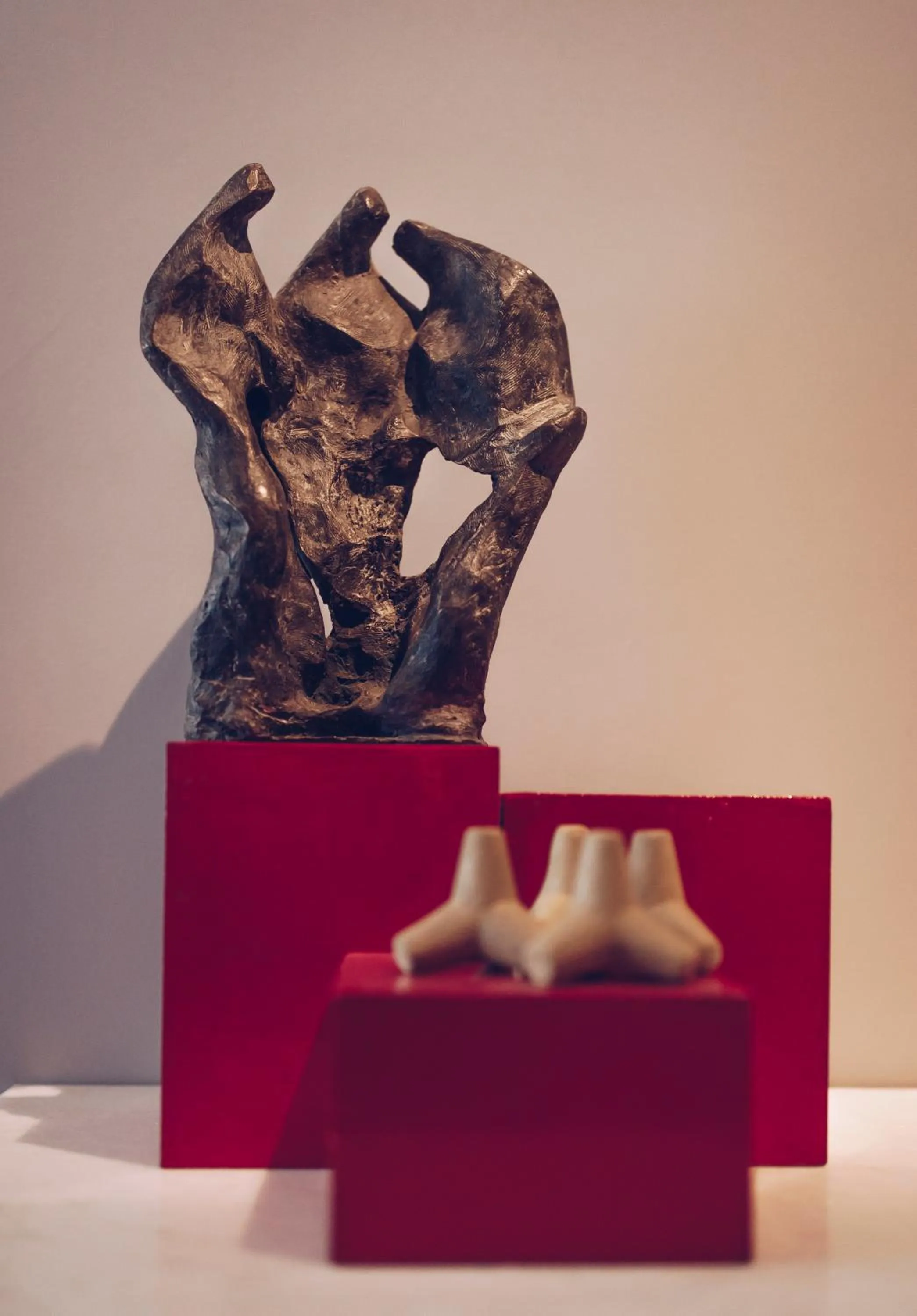 Other in Narendra Bhawan