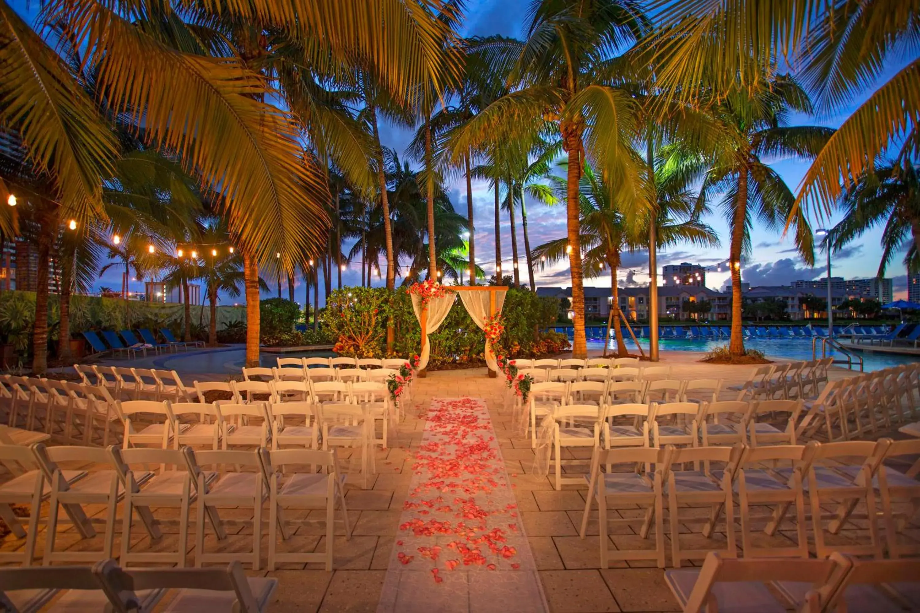 Pool view in DoubleTree Resort Hollywood Beach Pool view in DoubleTree Resort Hollywood Beach