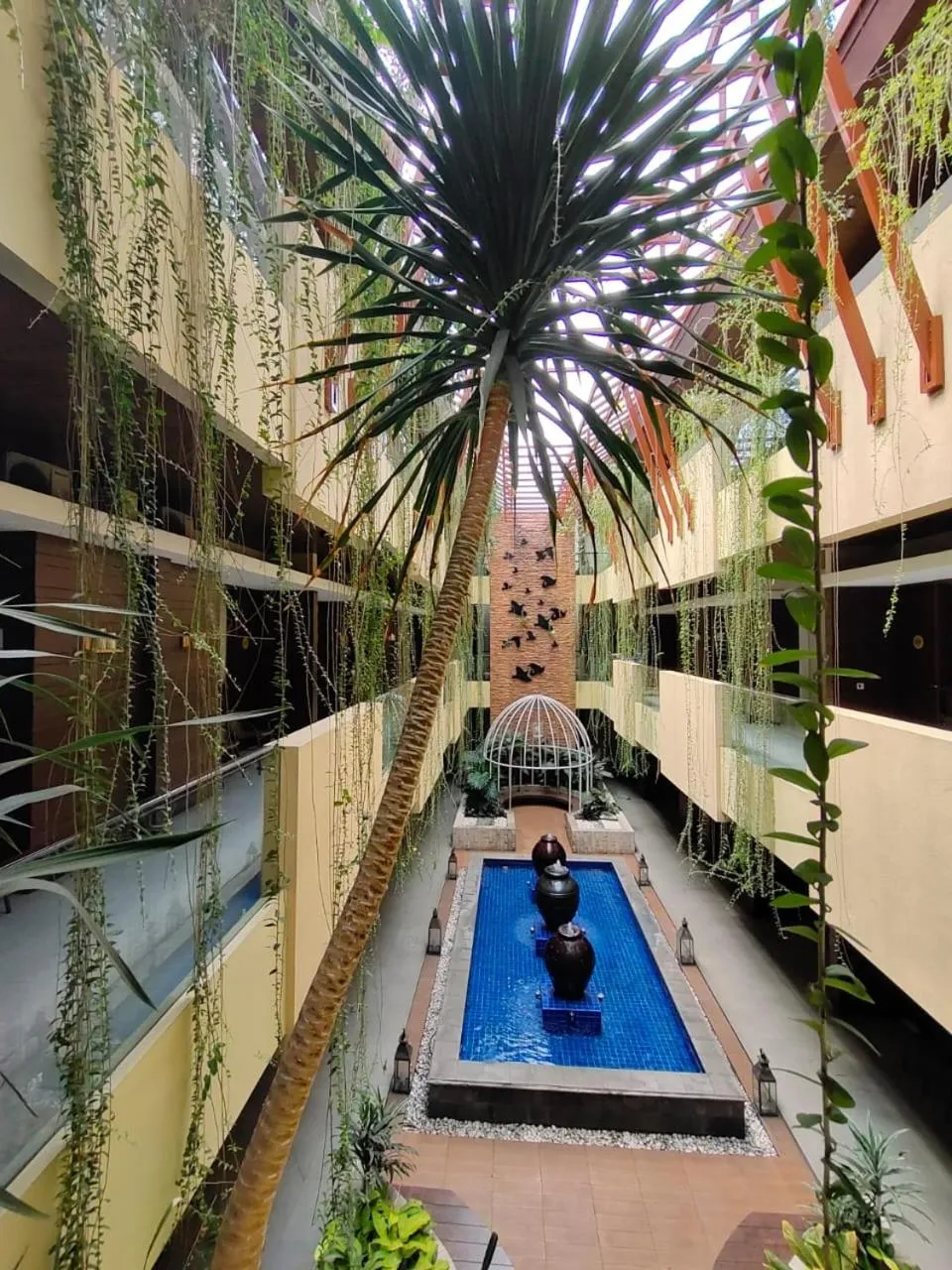 Garden in Sweet Garden Guest House