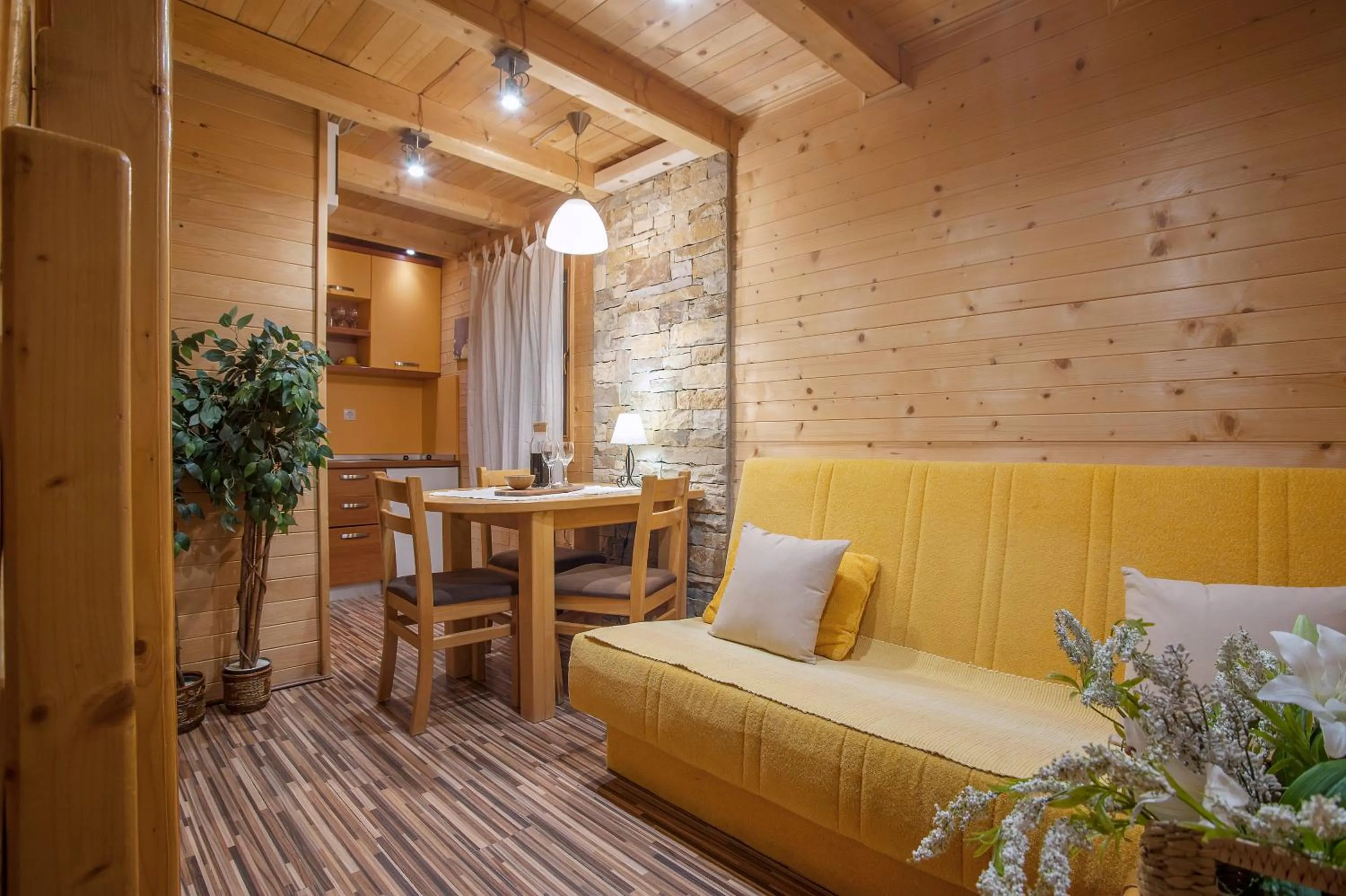 Kitchen or kitchenette in Brvnare Bor