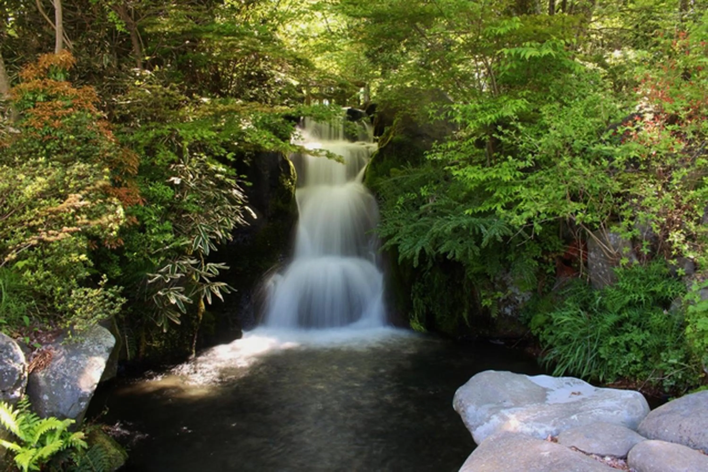 Nearby landmark in Guesthouse Fujinokura Kawaguchiko Ekimaeten
