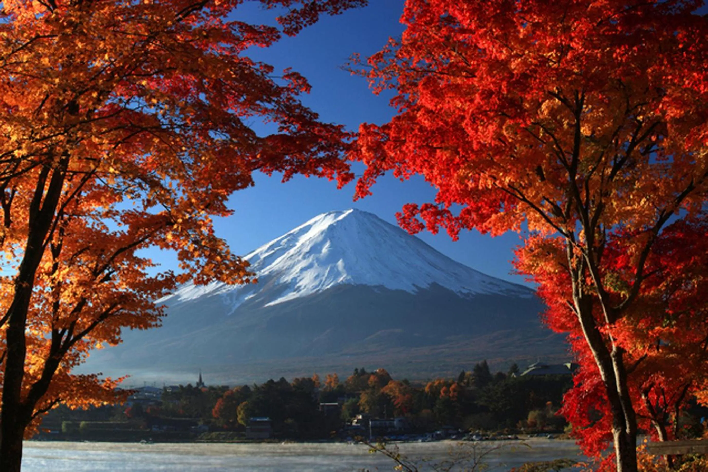 Nearby landmark in Guesthouse Fujinokura Kawaguchiko Ekimaeten