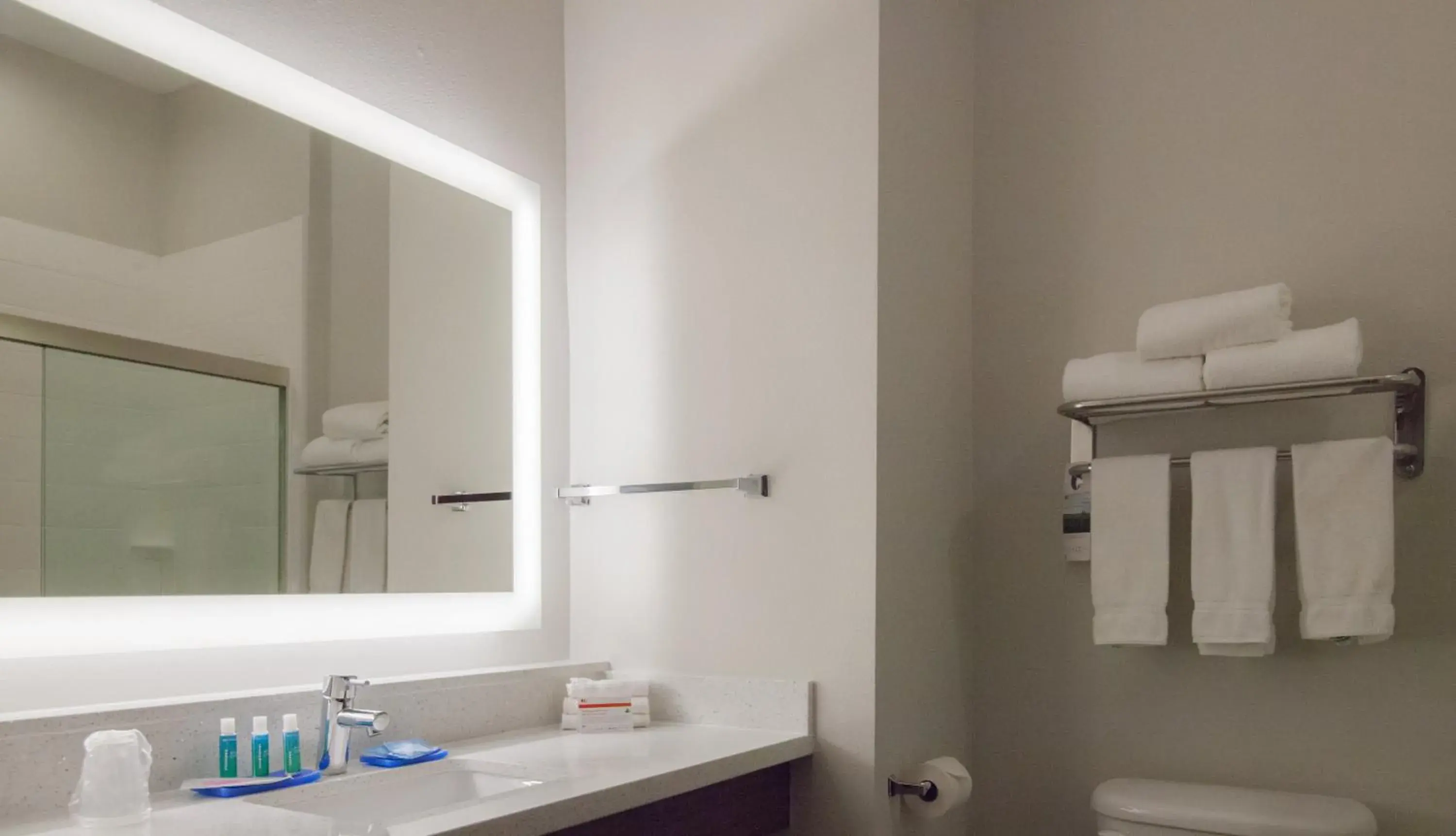 Bathroom in Holiday Inn Express Houston-Alvin by IHG Bathroom in Holiday Inn Express Houston-Alvin by IHG