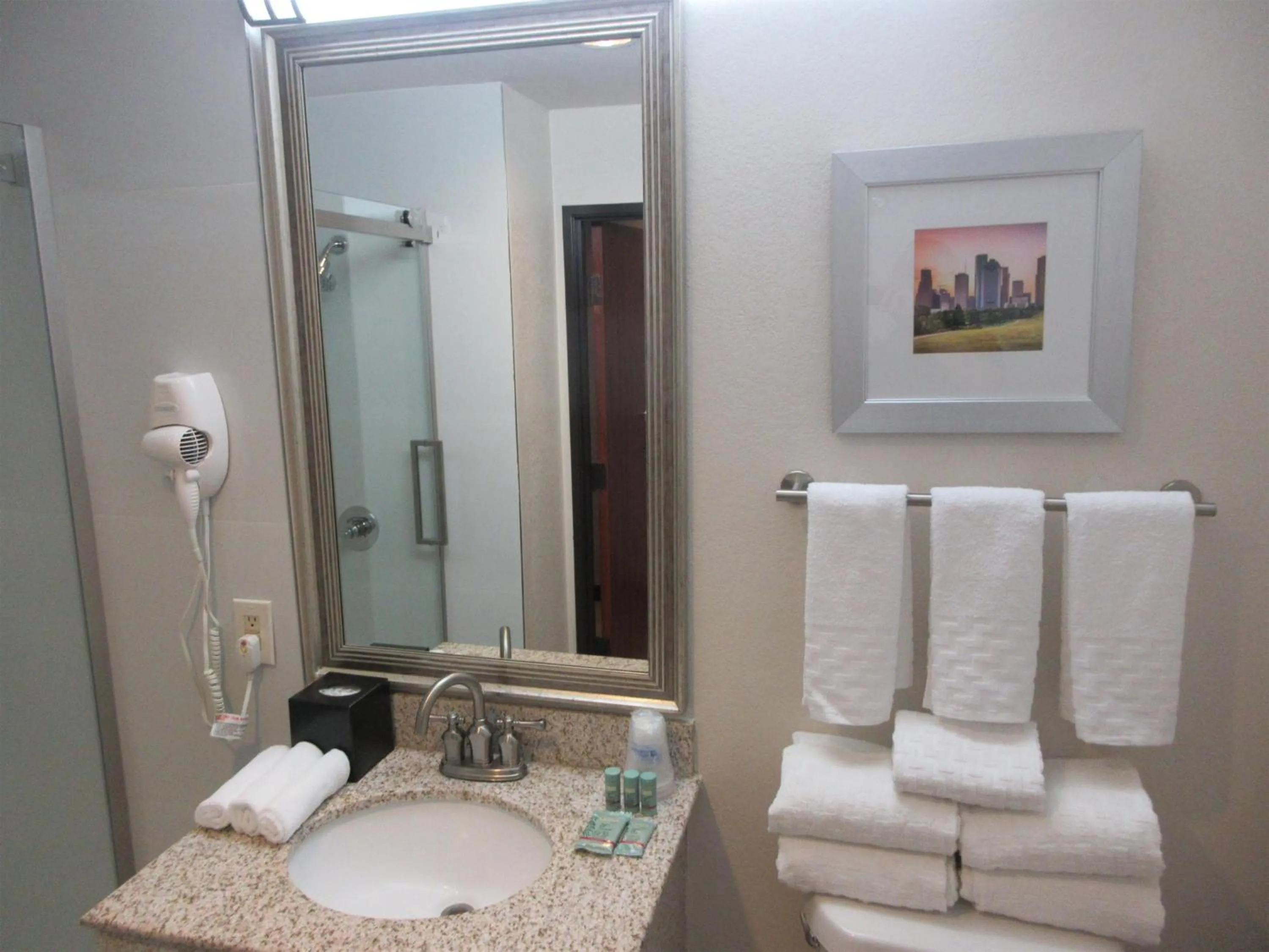 Bathroom in Best Western Champions Forest Inn and Suites