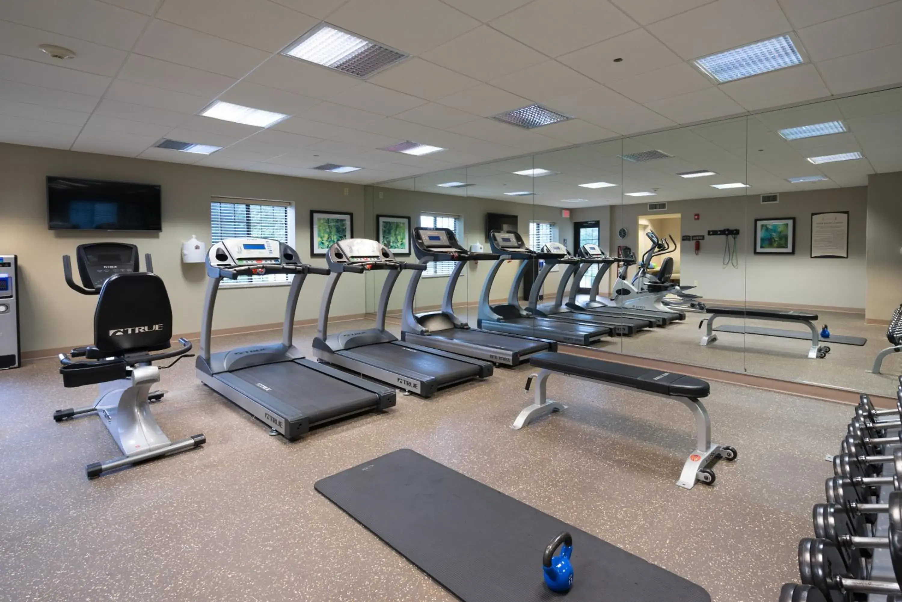 Fitness centre/facilities in Staybridge Suites Wilmington - Brandywine Valley by IHG Fitness centre/facilities in Staybridge Suites Wilmington - Brandywine Valley by IHG