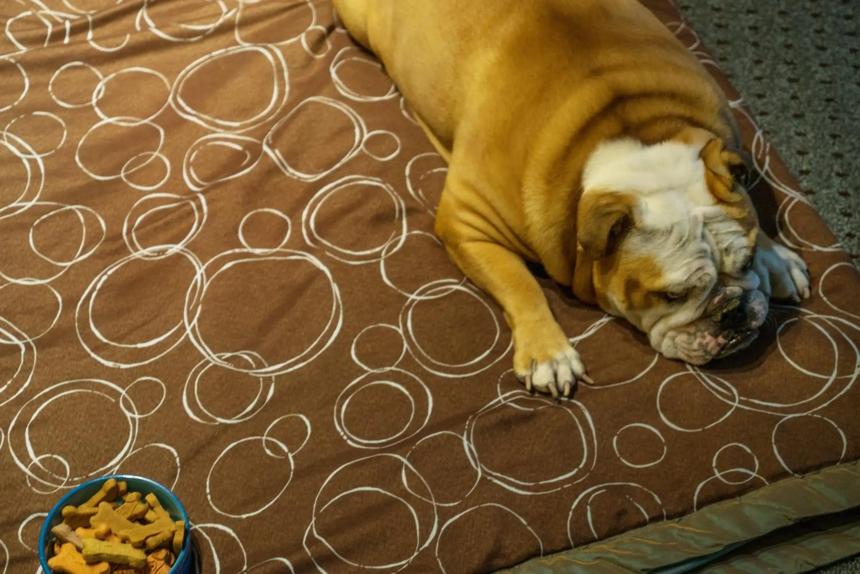 Photo of the whole room in Staybridge Suites Wilmington - Brandywine Valley by IHG Photo of the whole room in Staybridge Suites Wilmington - Brandywine Valley by IHG