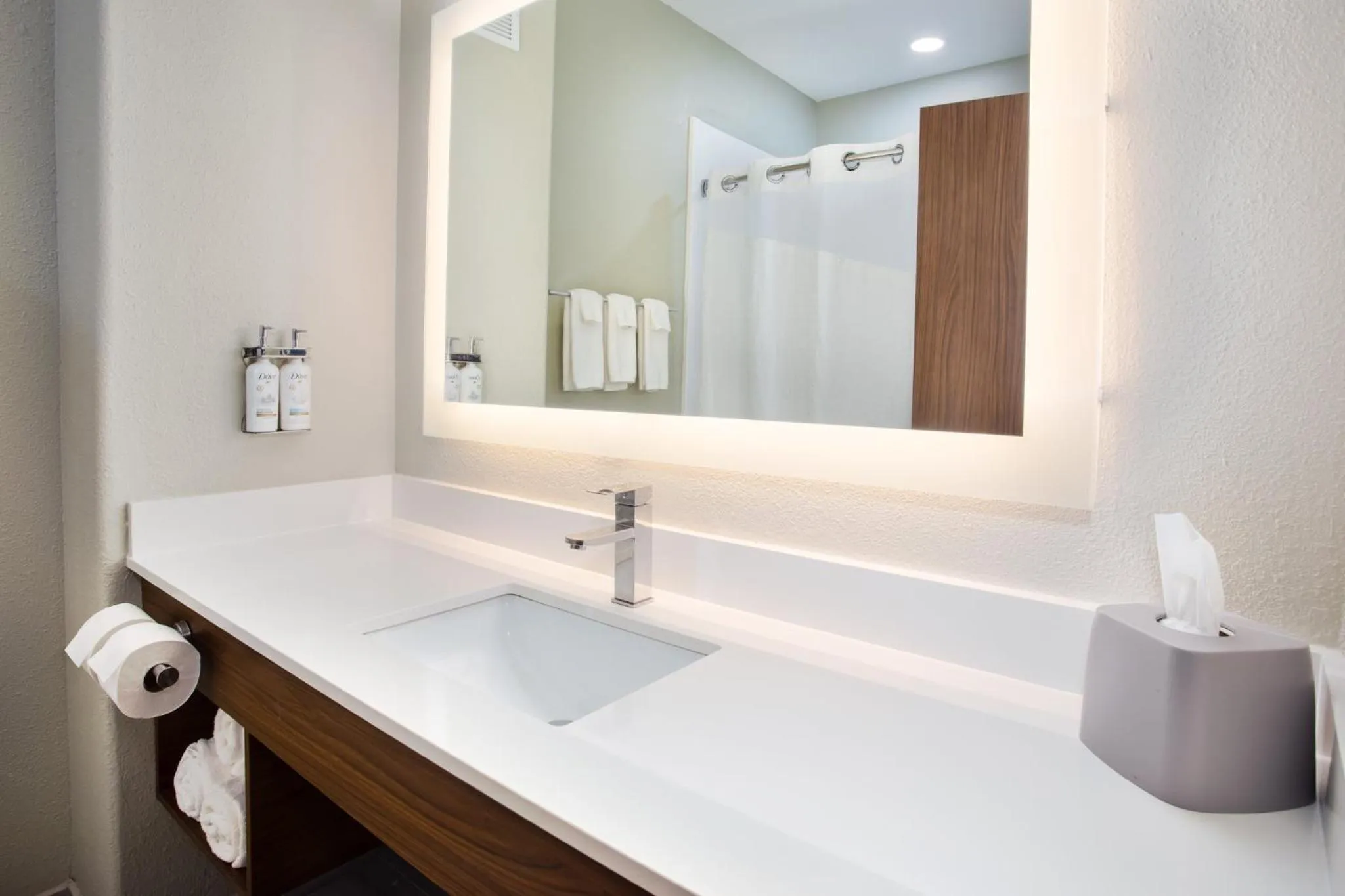 Bathroom in Holiday Inn Express Hotel and Suites Katy by IHG