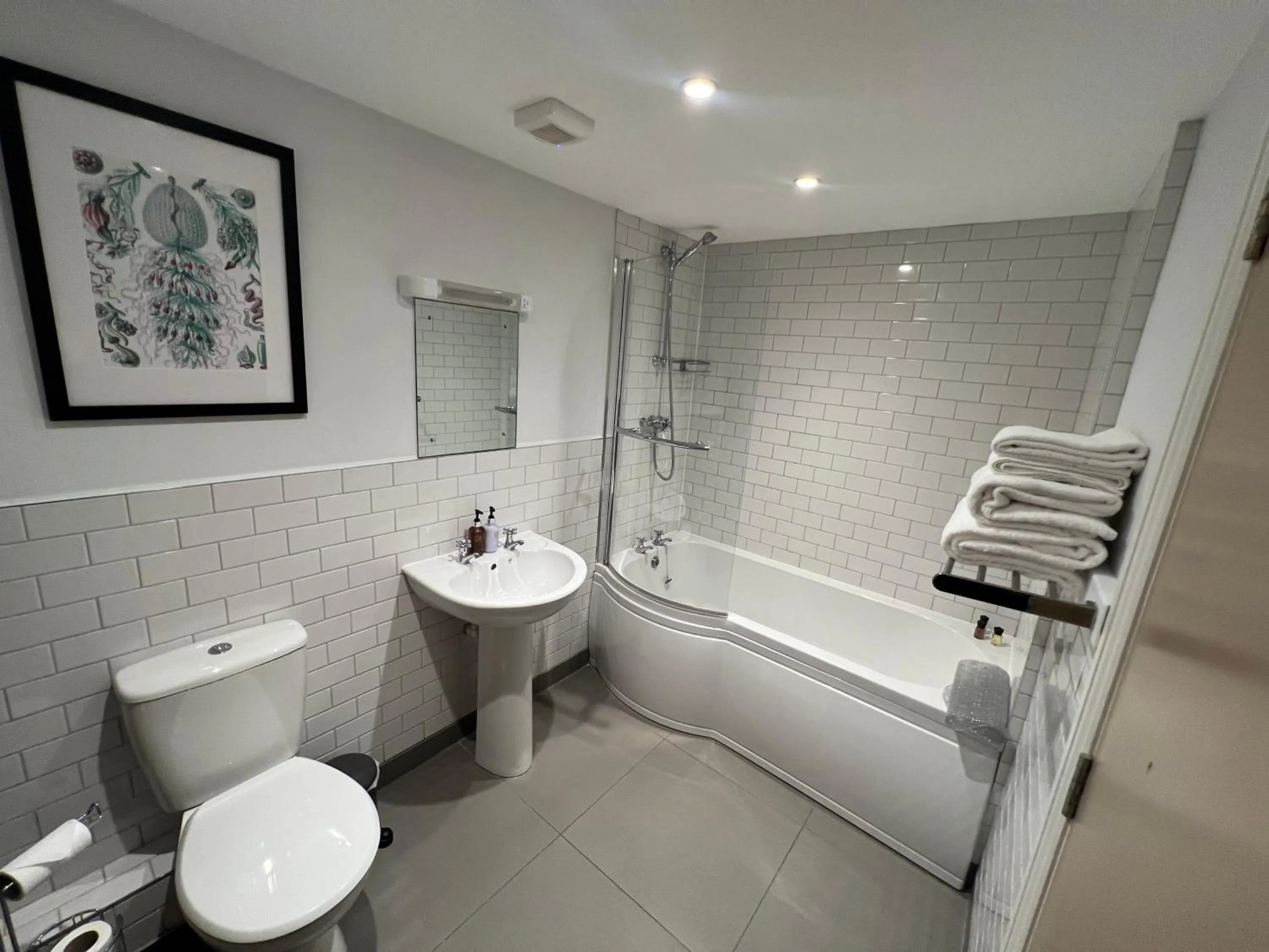 Bathroom in White Horse