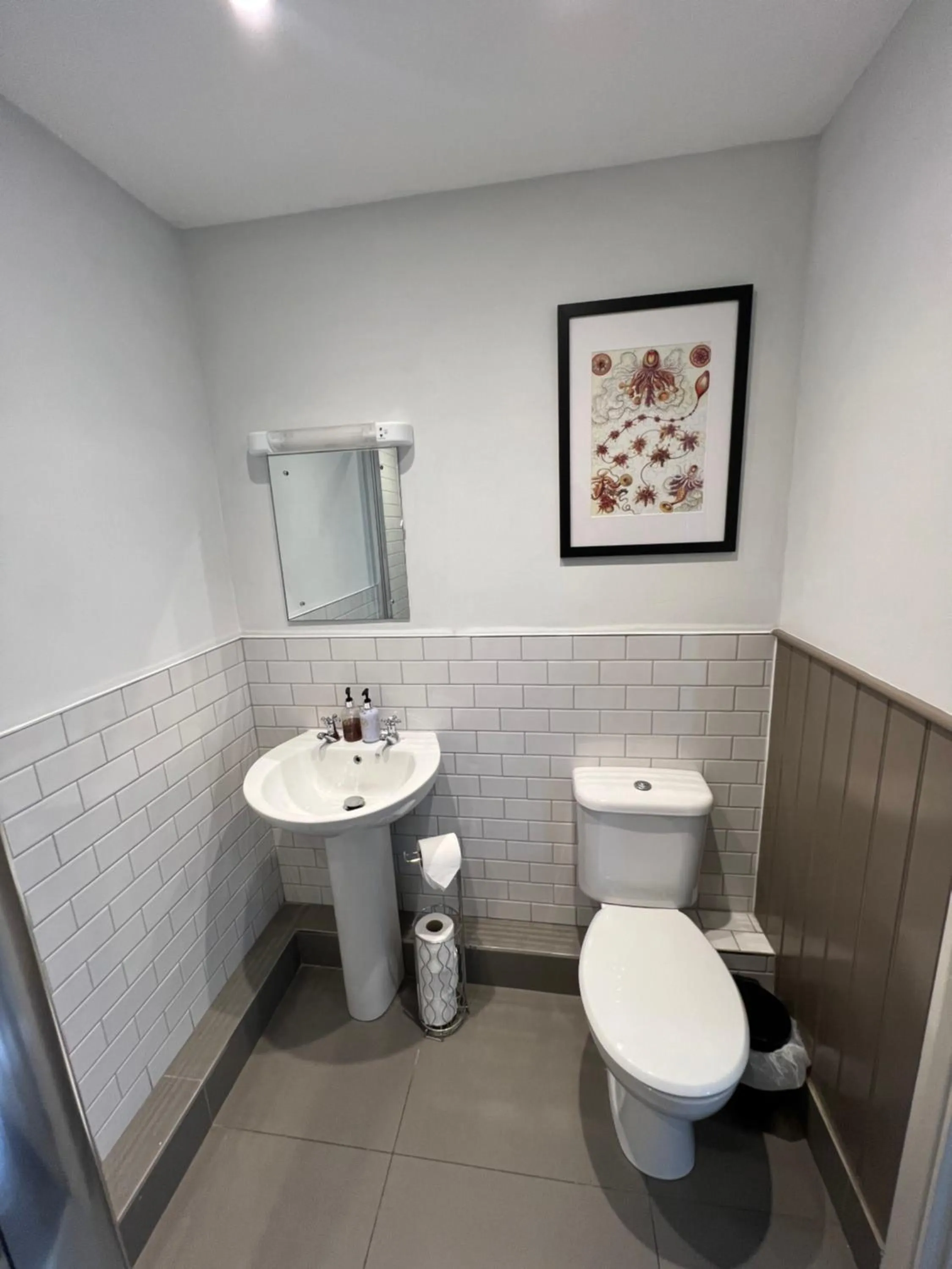 Toilet in White Horse