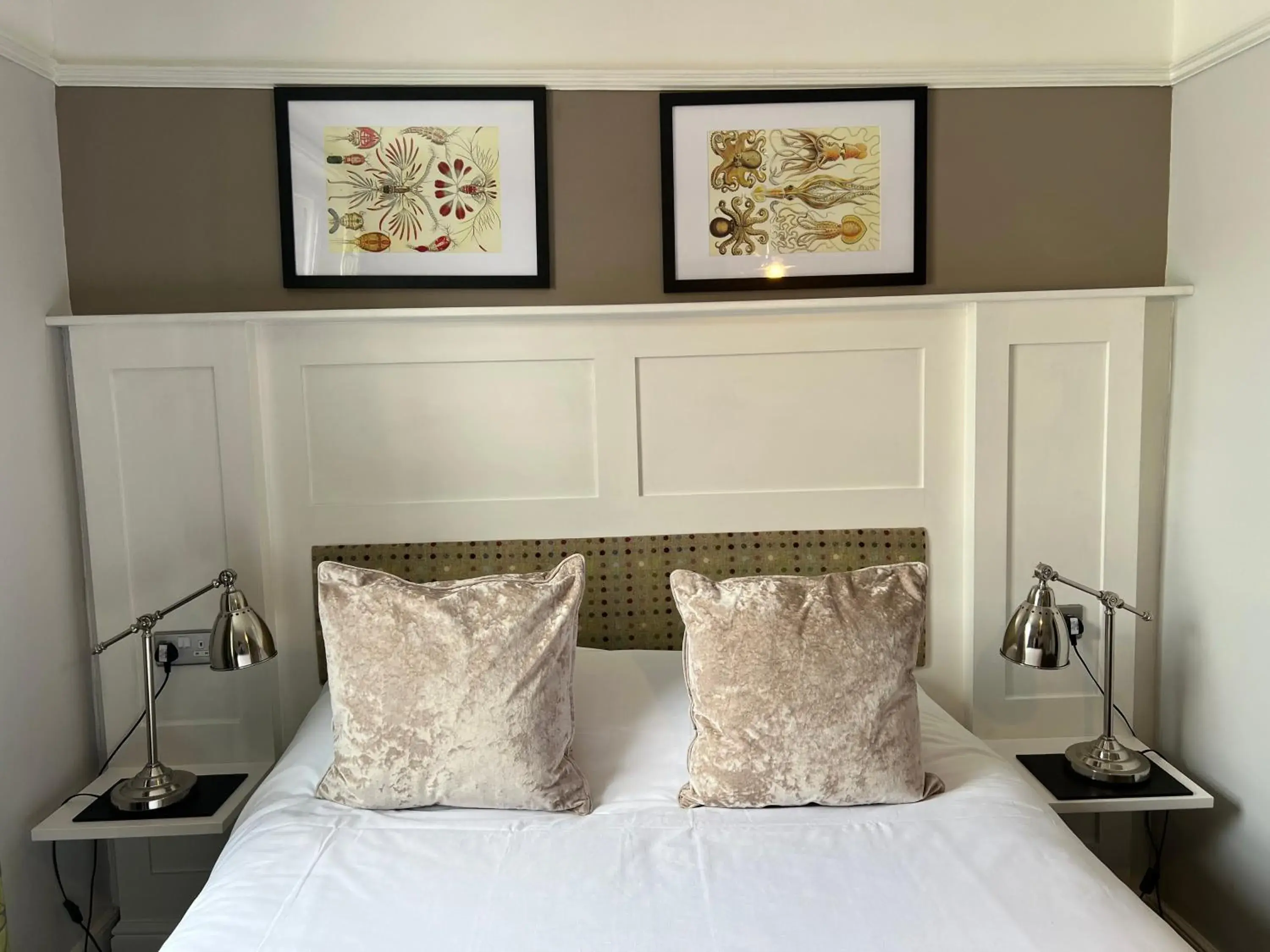 Deluxe Double Room - single occupancy in White Horse Deluxe Double Room - single occupancy in White Horse
