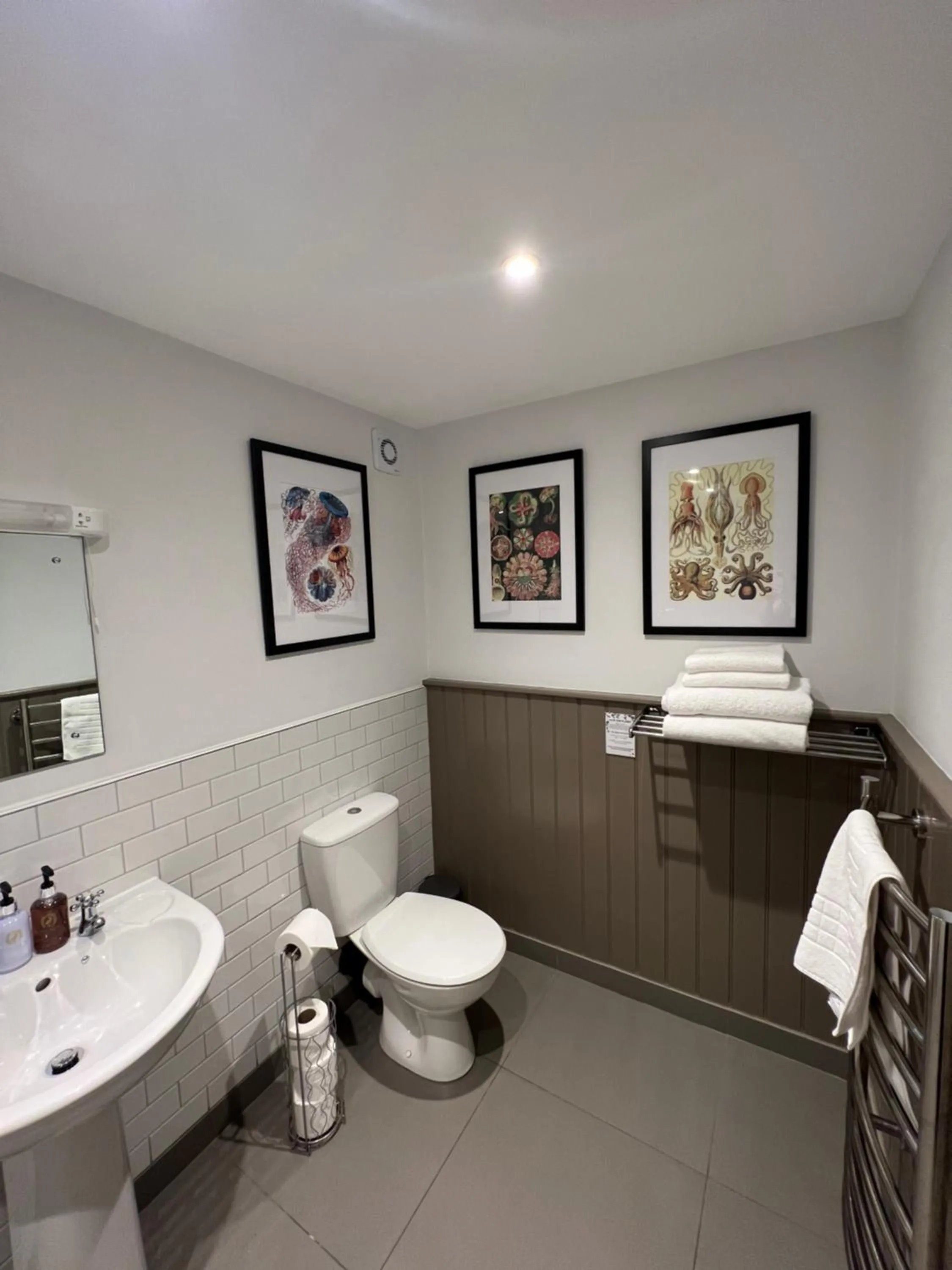 Toilet in White Horse