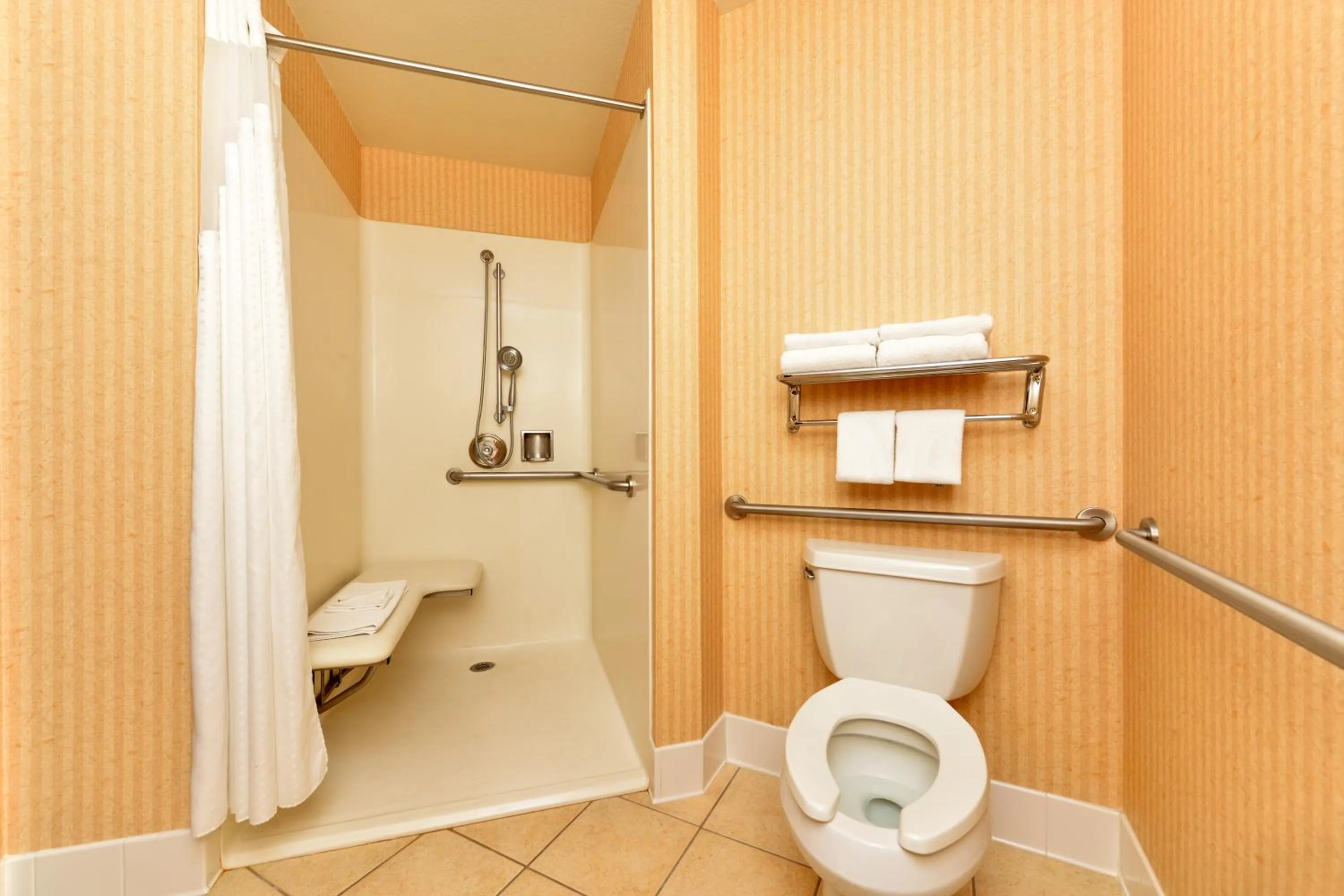 HOLIDAY INN EXPRESS & SUITES ELK GROVE CENTRAL - HWY 99 by IHG