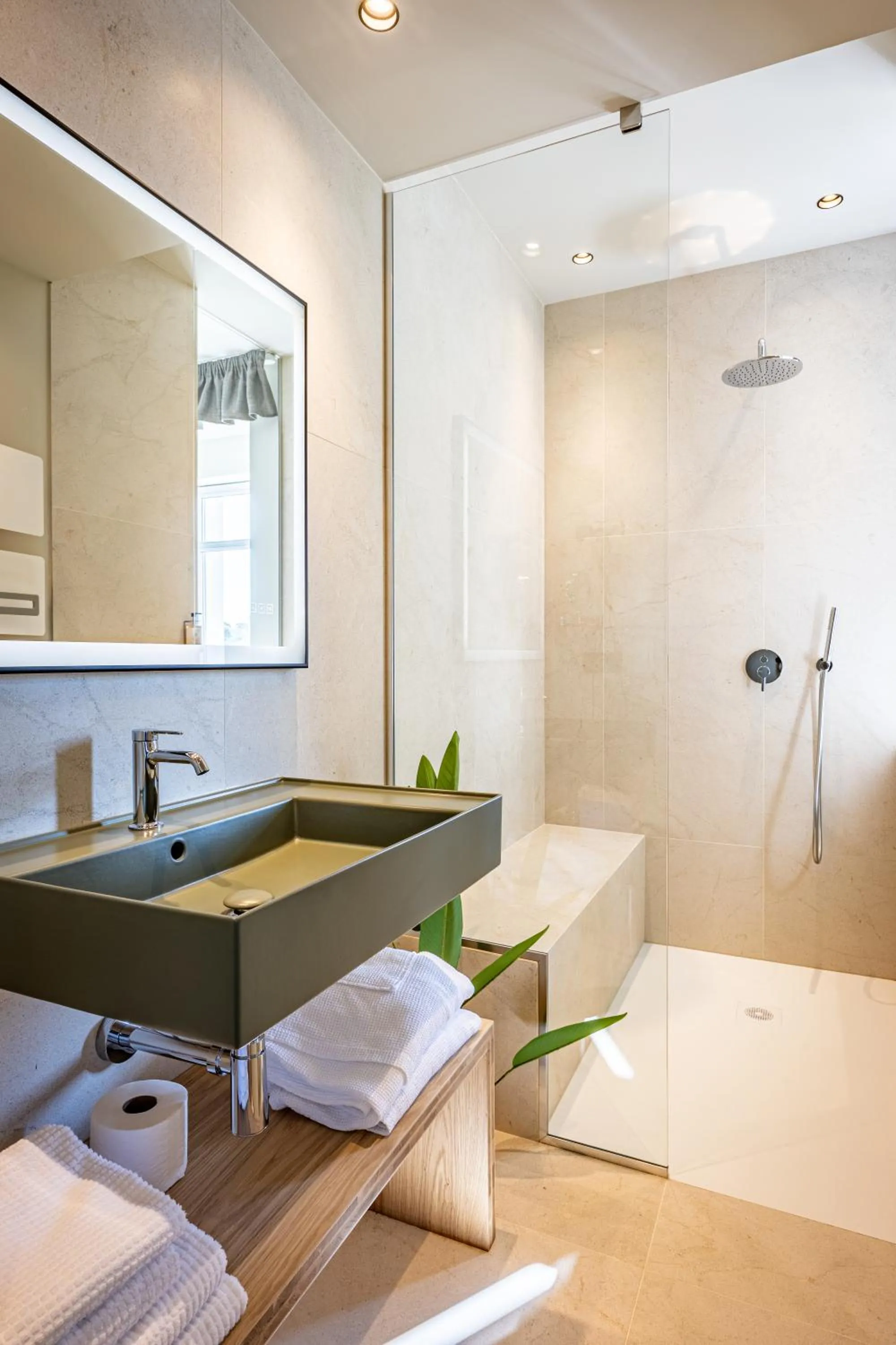 Shower in Restaurant Hotel Didier Méril