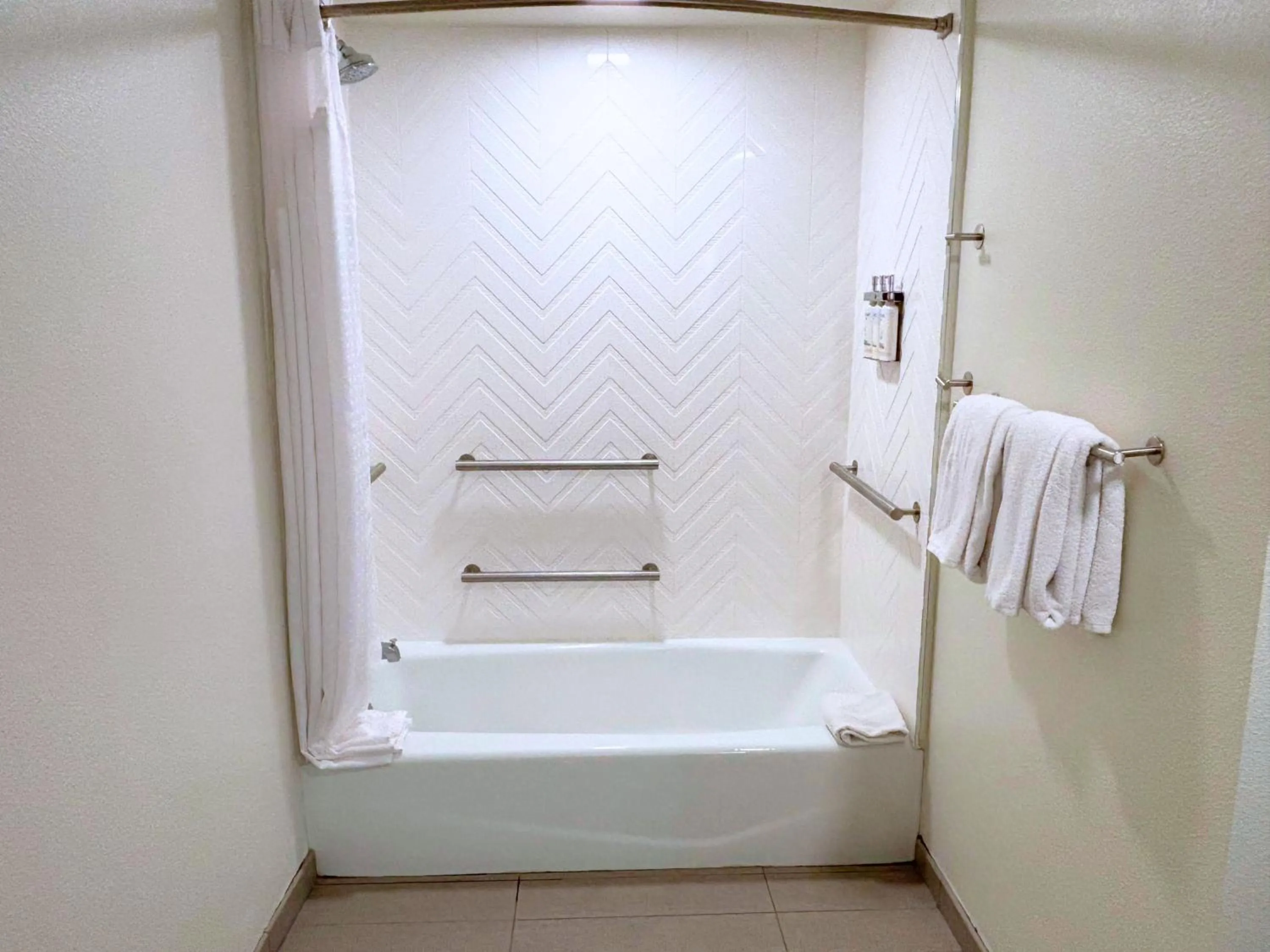 Photo of the whole room in Holiday Inn Hotel & Suites - Orange Park - Wells Rd.