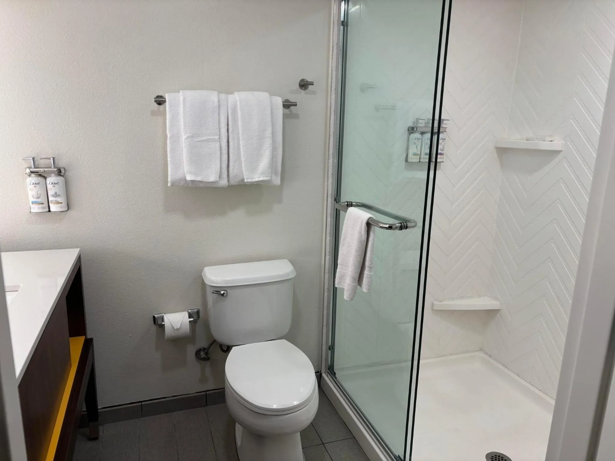 Bathroom in Holiday Inn Hotel & Suites - Orange Park - Wells Rd.