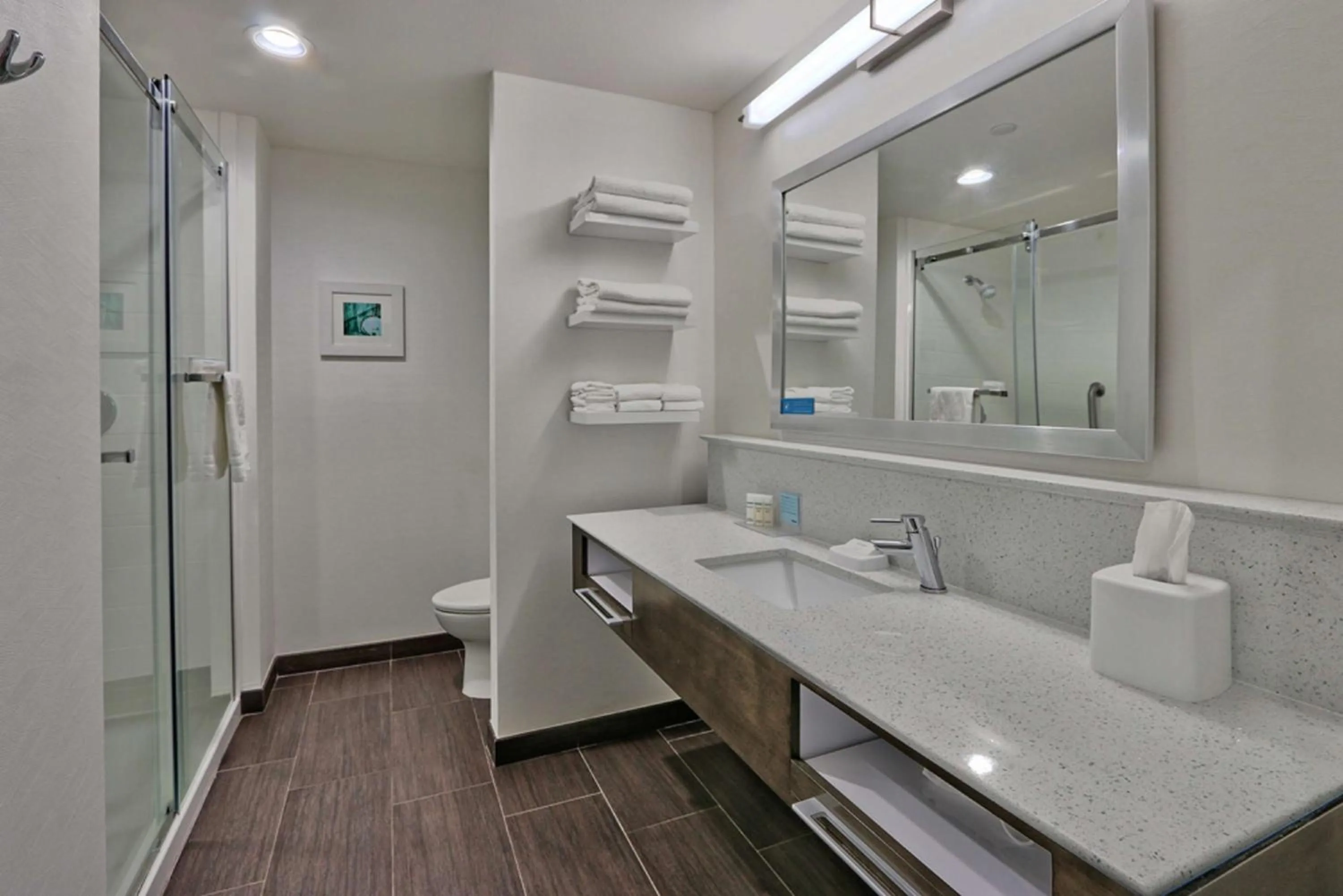 Bathroom in Hampton Inn & Suites Guthrie, OK