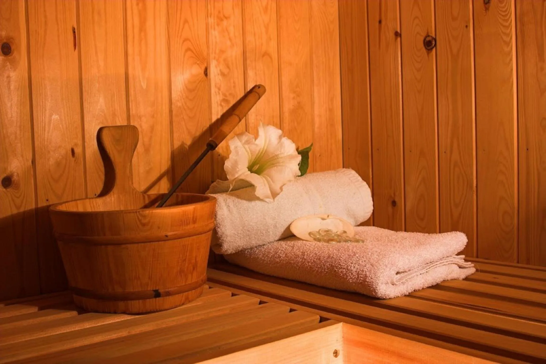 Sauna in Social Hotel