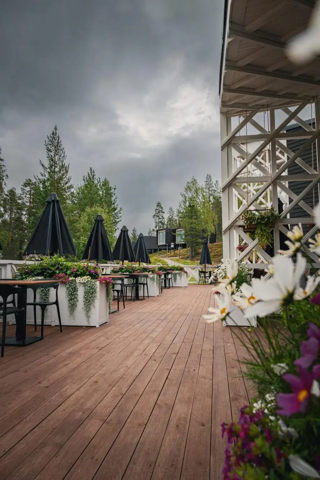 Restaurant/places to eat in Arctic TreeHouse Hotel Restaurant/places to eat in Arctic TreeHouse Hotel