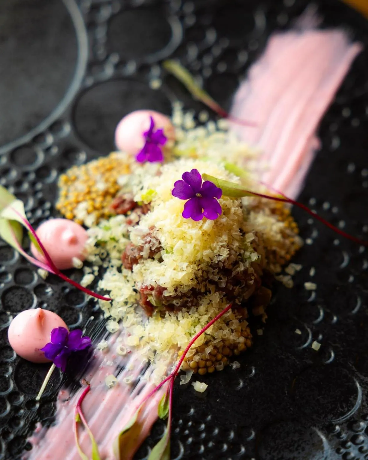 Food in Arctic TreeHouse Hotel