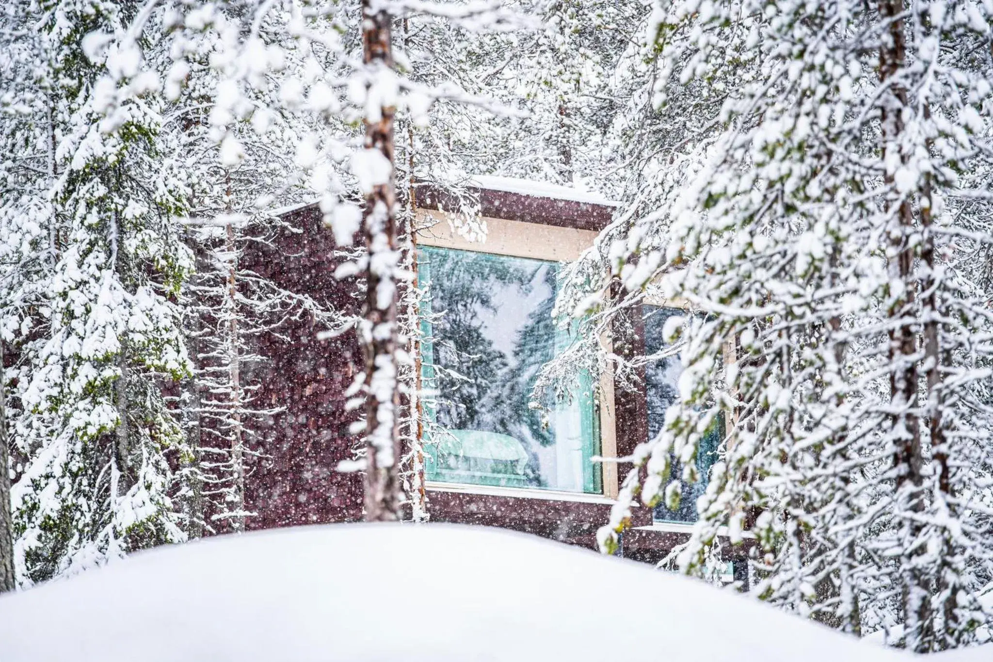 Property building in Arctic TreeHouse Hotel Property building in Arctic TreeHouse Hotel