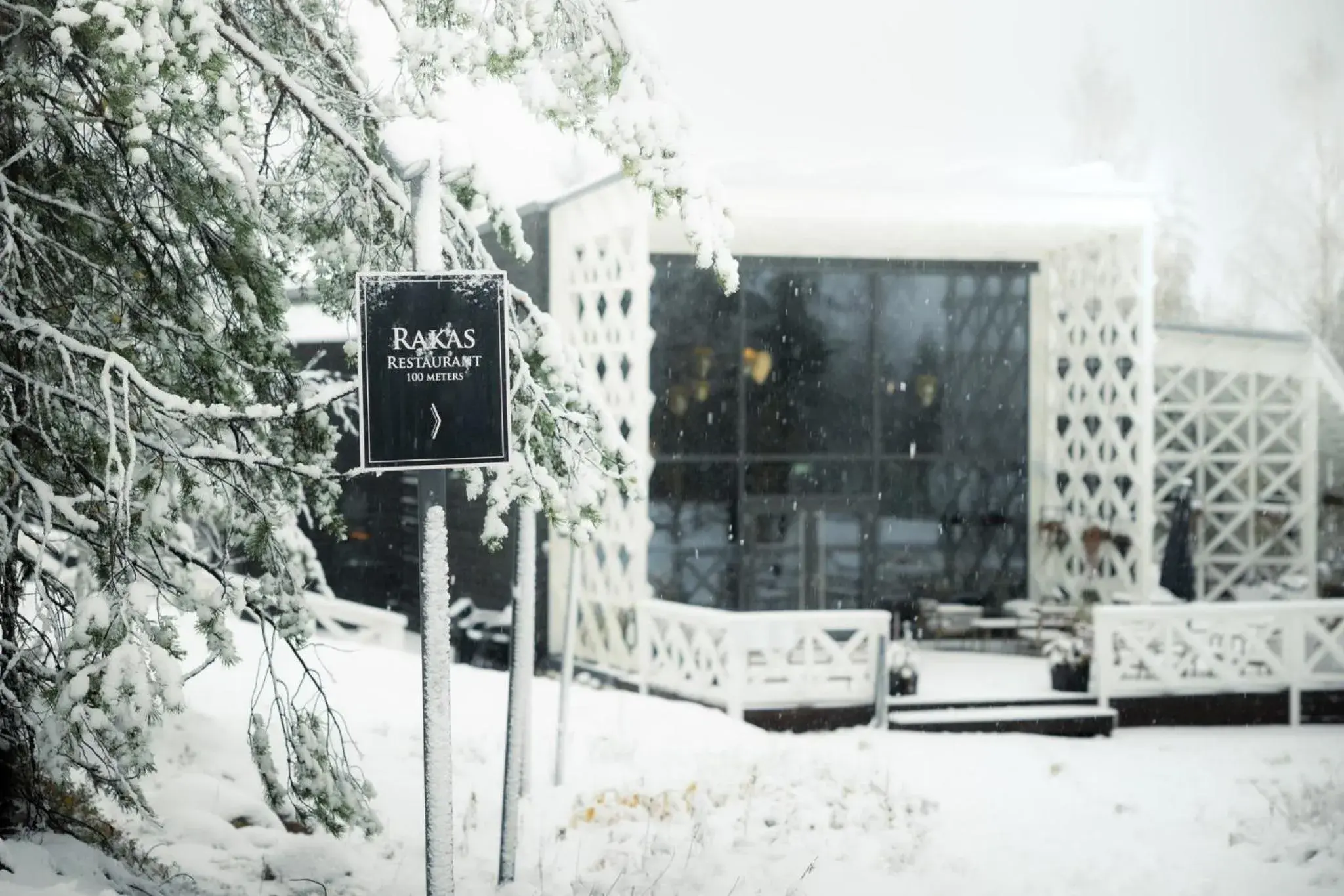 Restaurant/places to eat in Arctic TreeHouse Hotel Restaurant/places to eat in Arctic TreeHouse Hotel