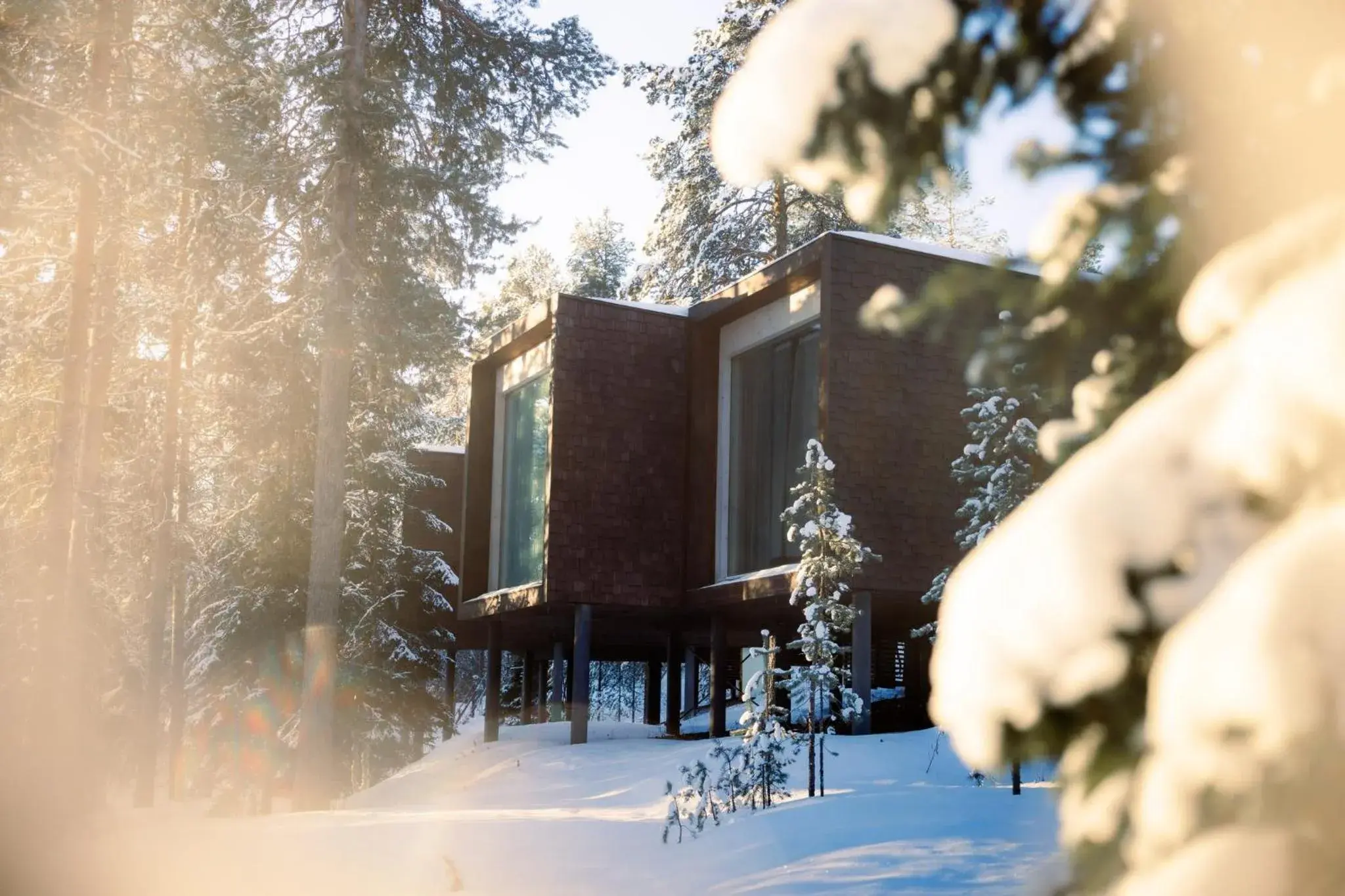 Property building in Arctic TreeHouse Hotel Property building in Arctic TreeHouse Hotel