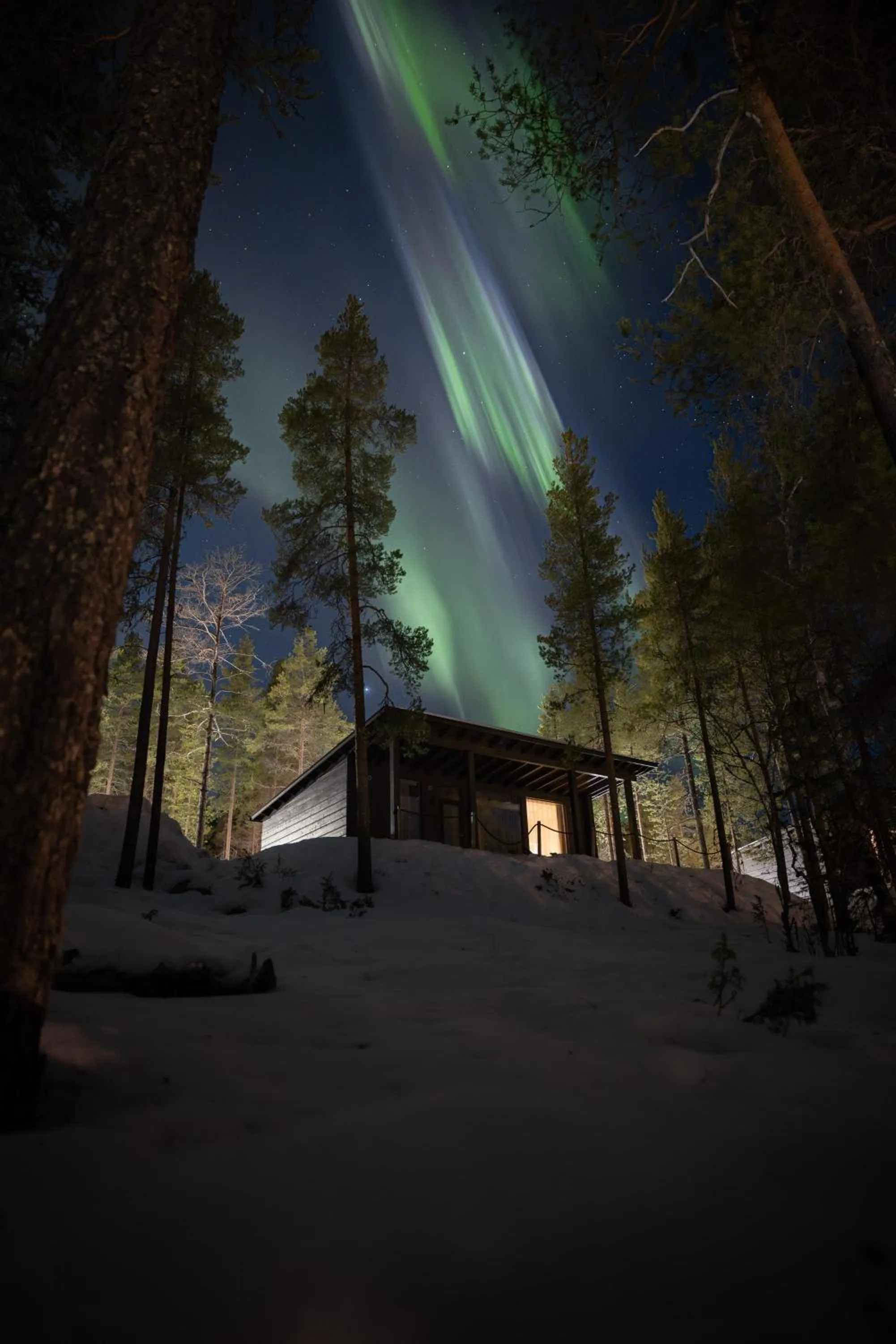 Night in Arctic TreeHouse Hotel