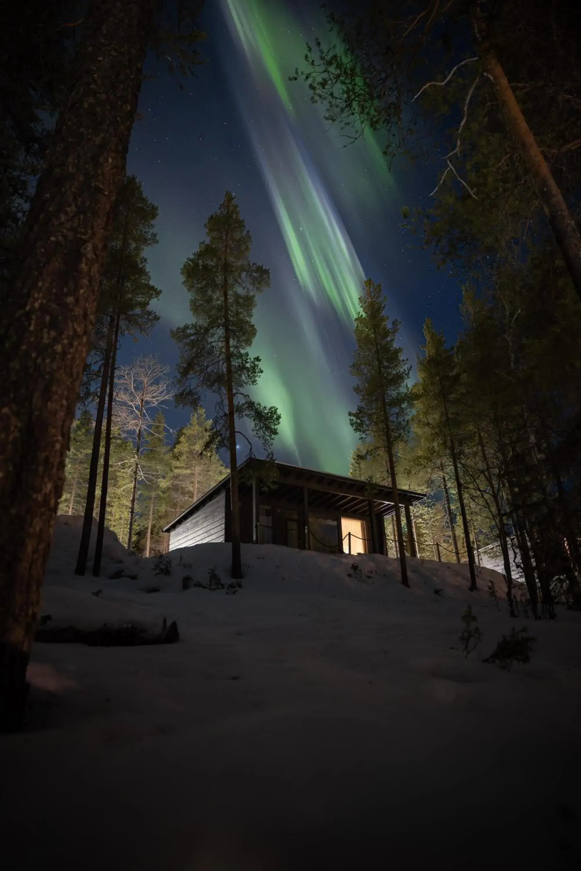 Arctic Glass House in Arctic TreeHouse Hotel Arctic Glass House in Arctic TreeHouse Hotel