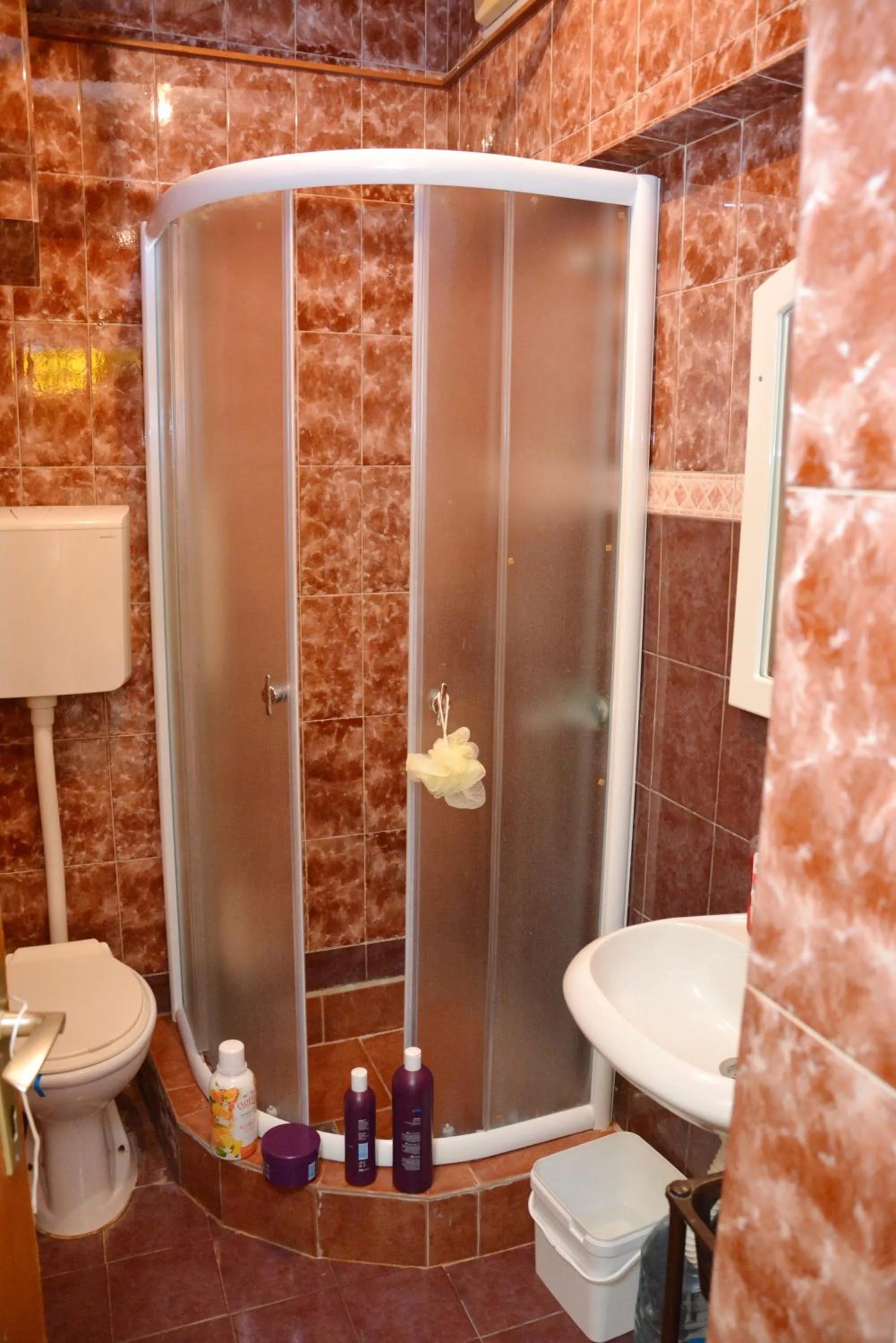 Bathroom in Petrovic house