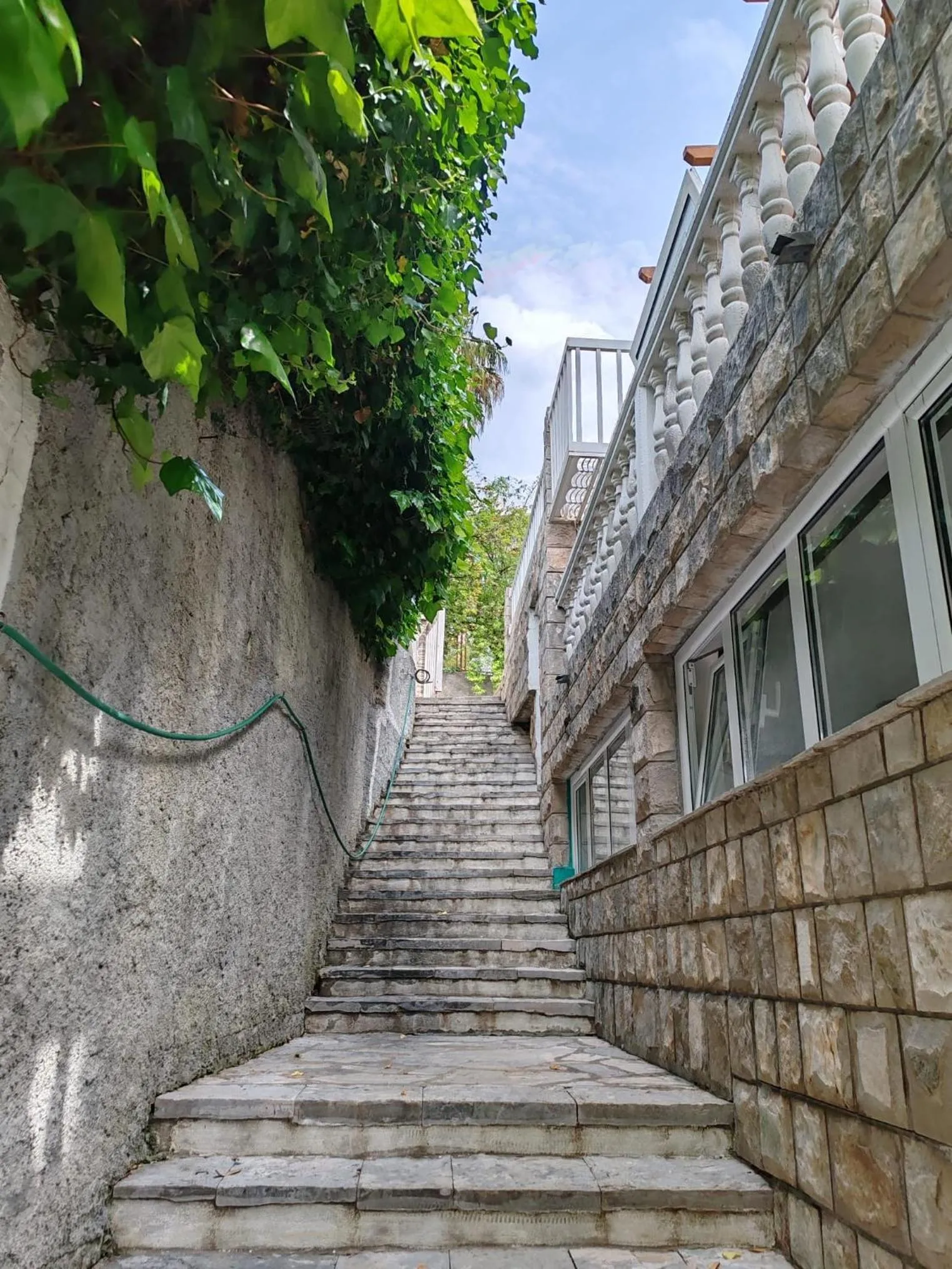 Petrovic house