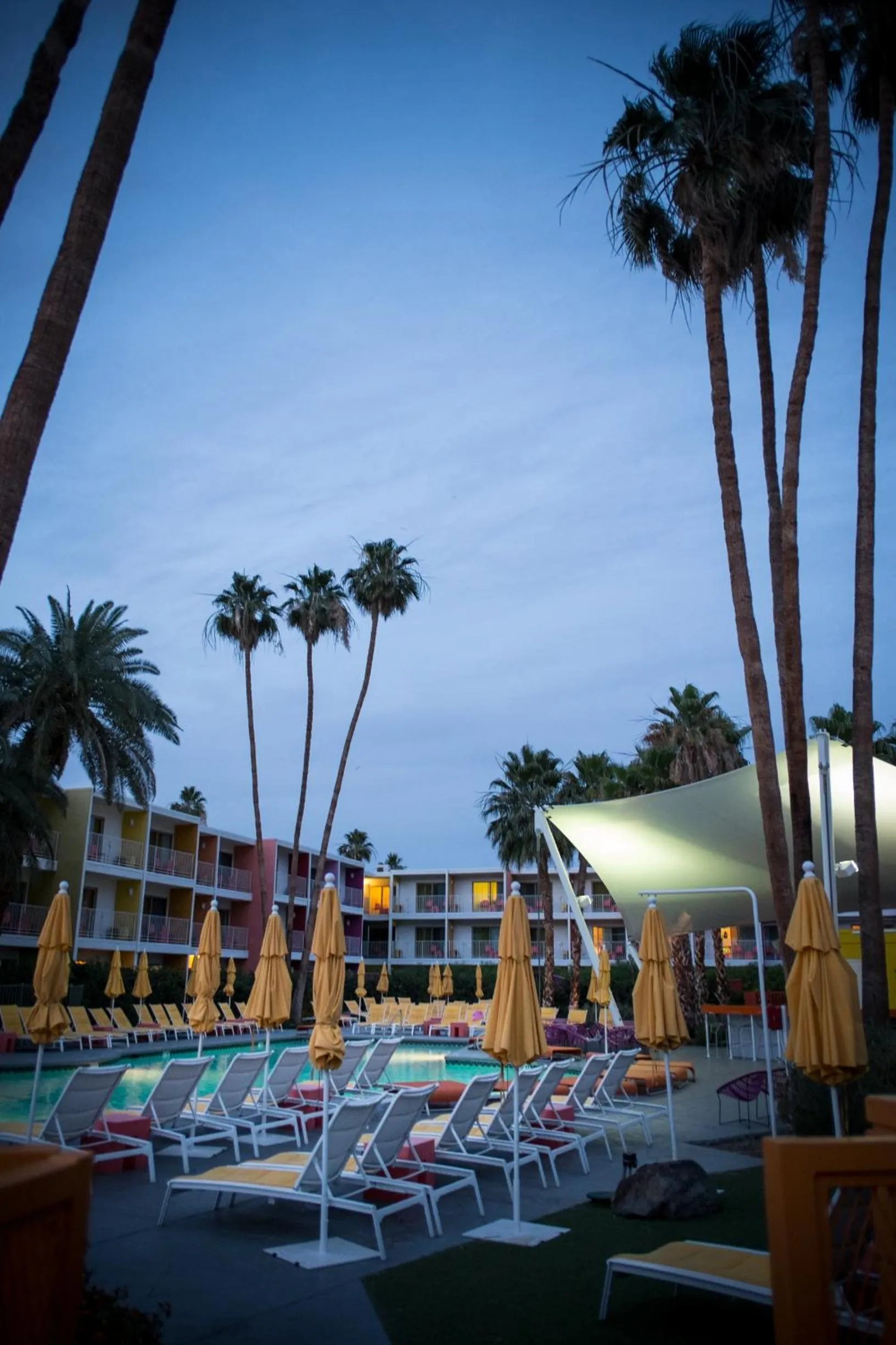 Swimming pool in The Saguaro Palm Springs