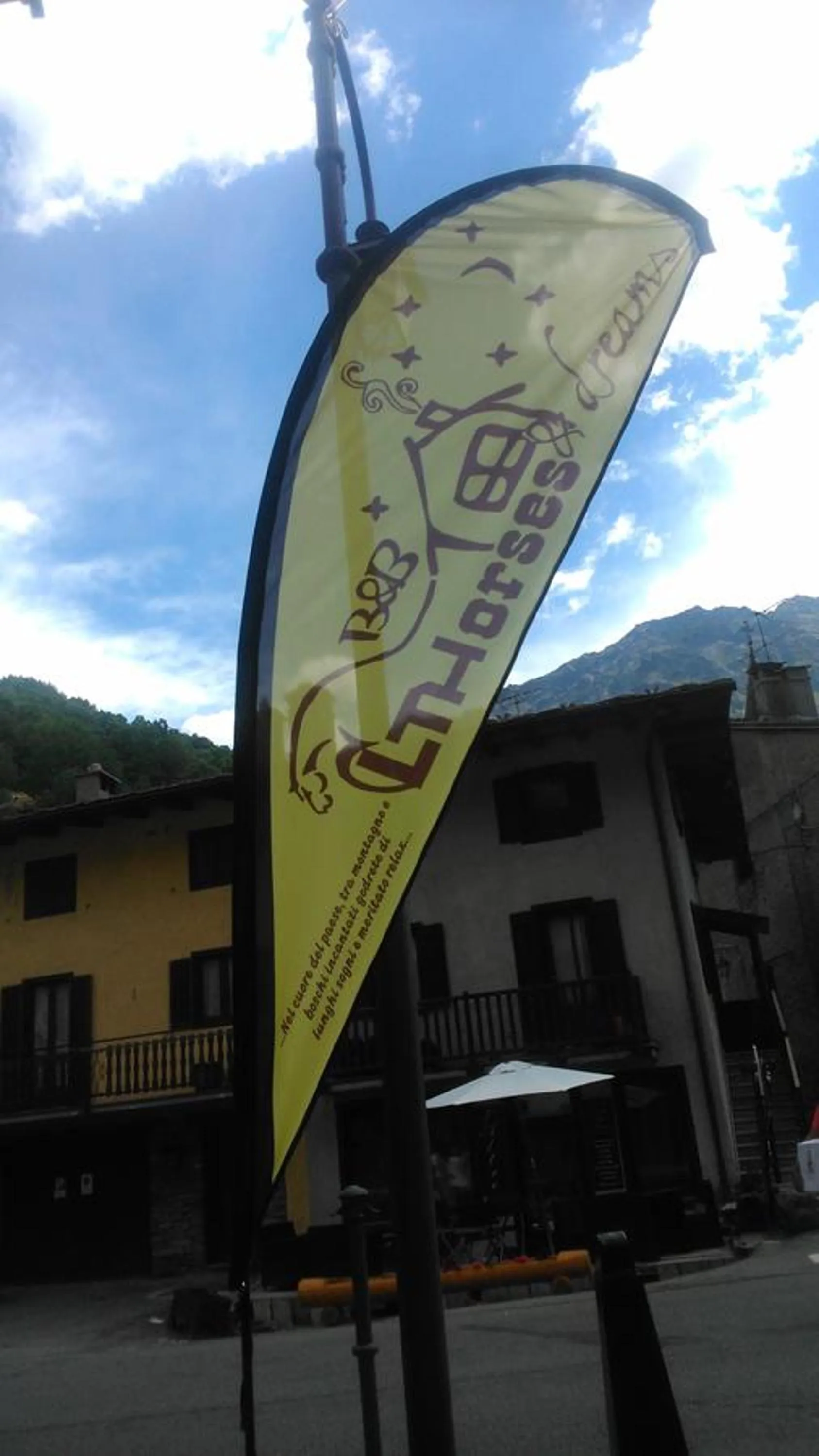 Decorative detail in LTHorses & Dreams