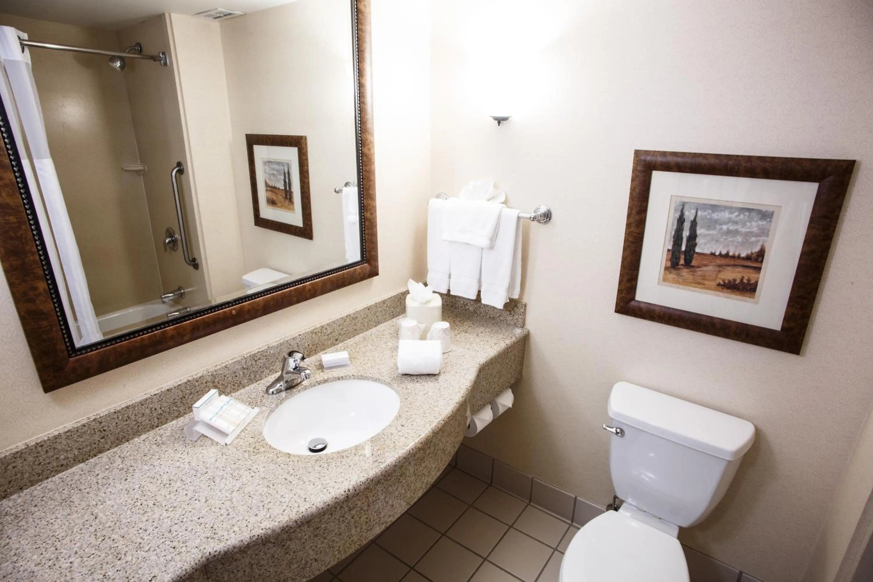 Bathroom in Hilton Garden Inn Gettysburg