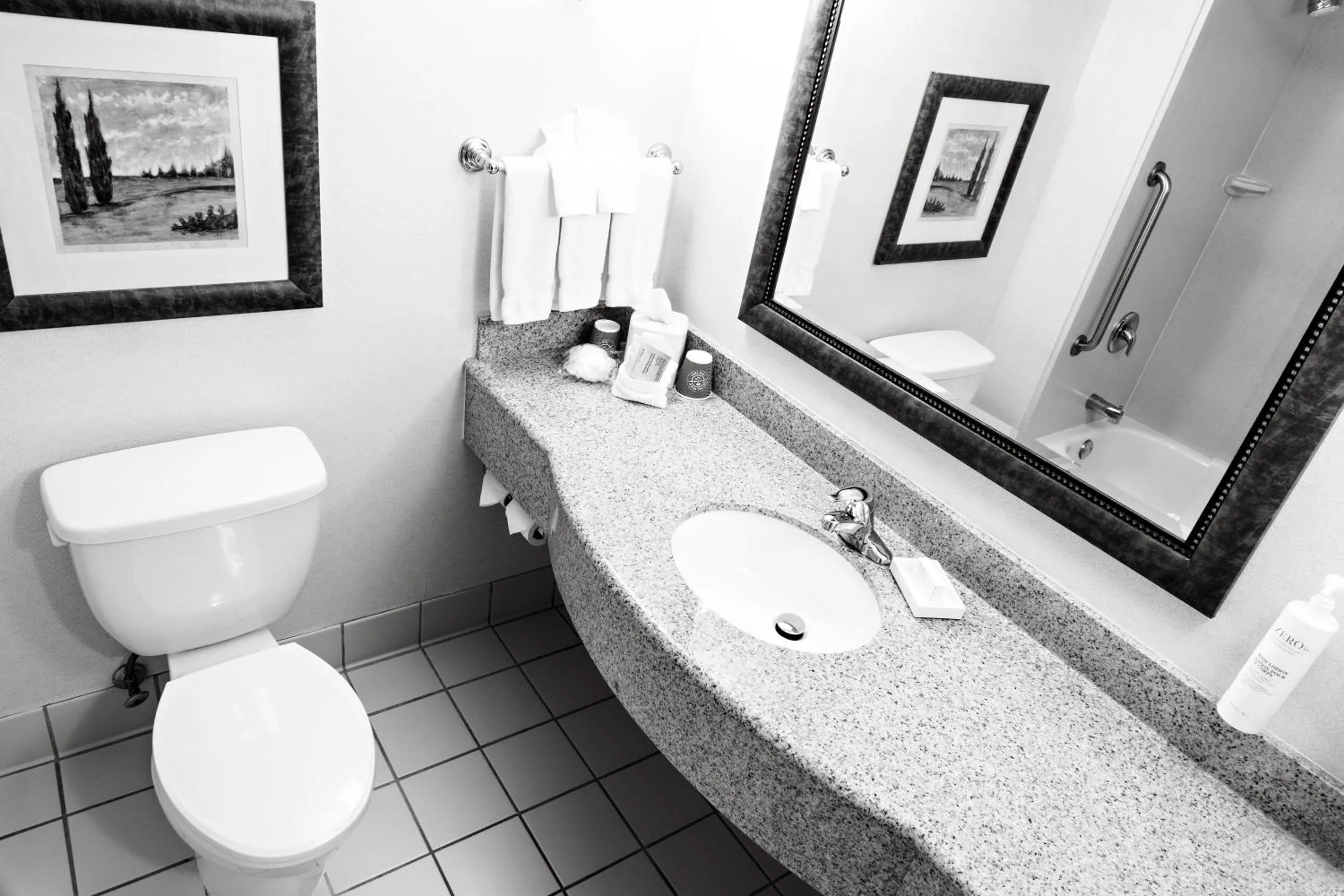 Bathroom in Hilton Garden Inn Gettysburg