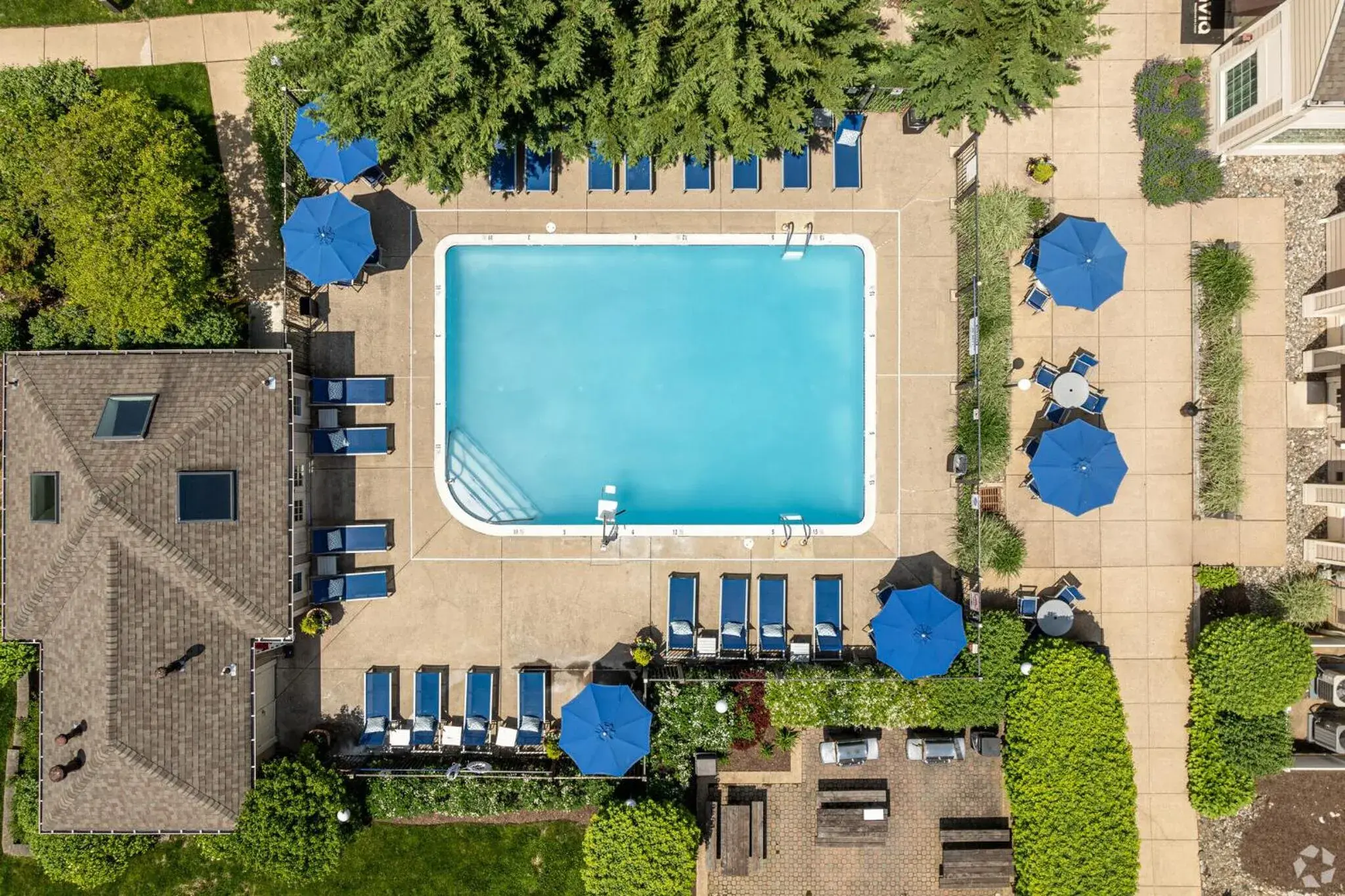 Swimming pool in Avia Residences on Lincoln - Extended Stay Swimming pool in Avia Residences on Lincoln - Extended Stay