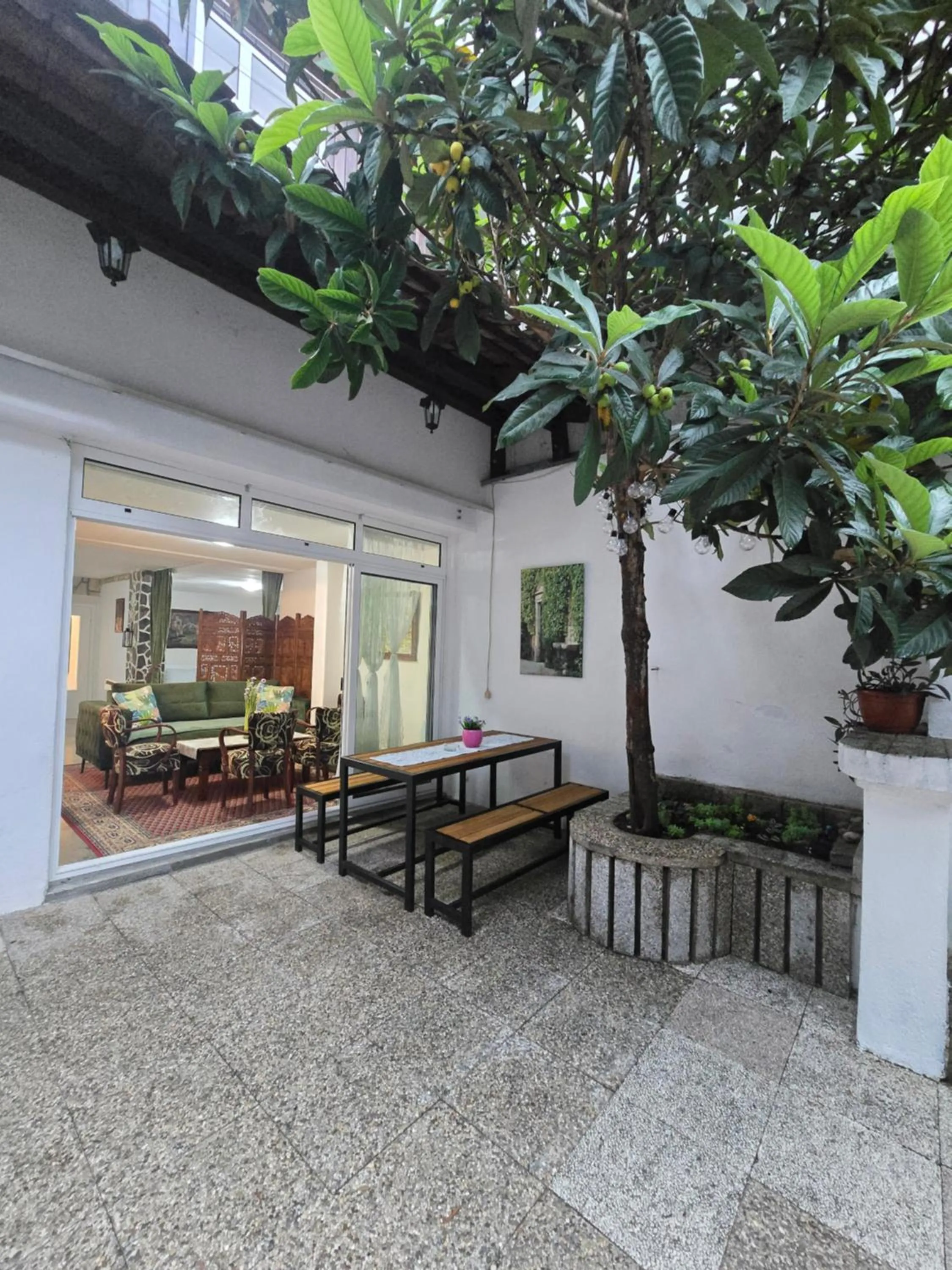 Garden in Pansion Infinity