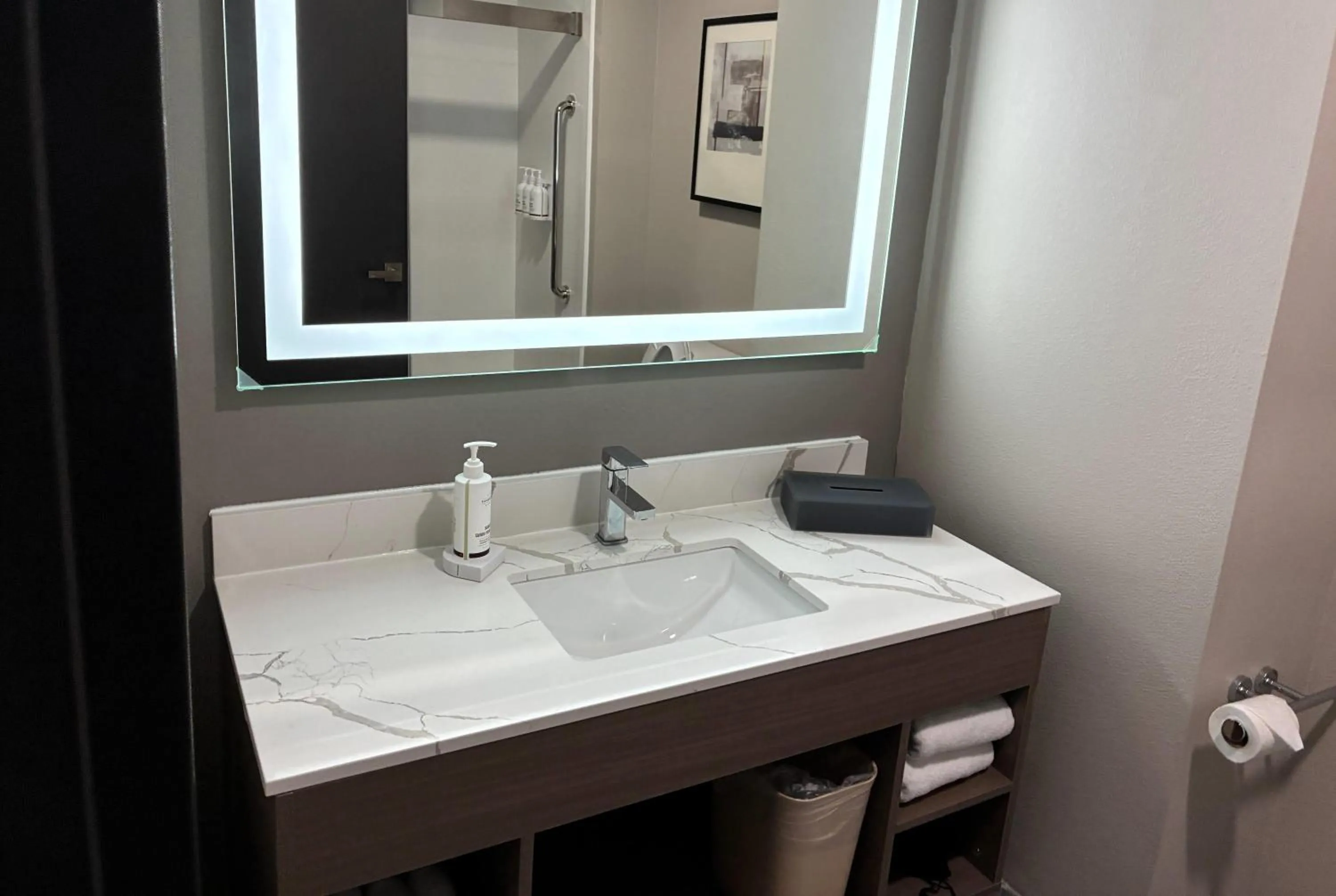 Bathroom in La Quinta Inn & Suites by Wyndham Bessemer