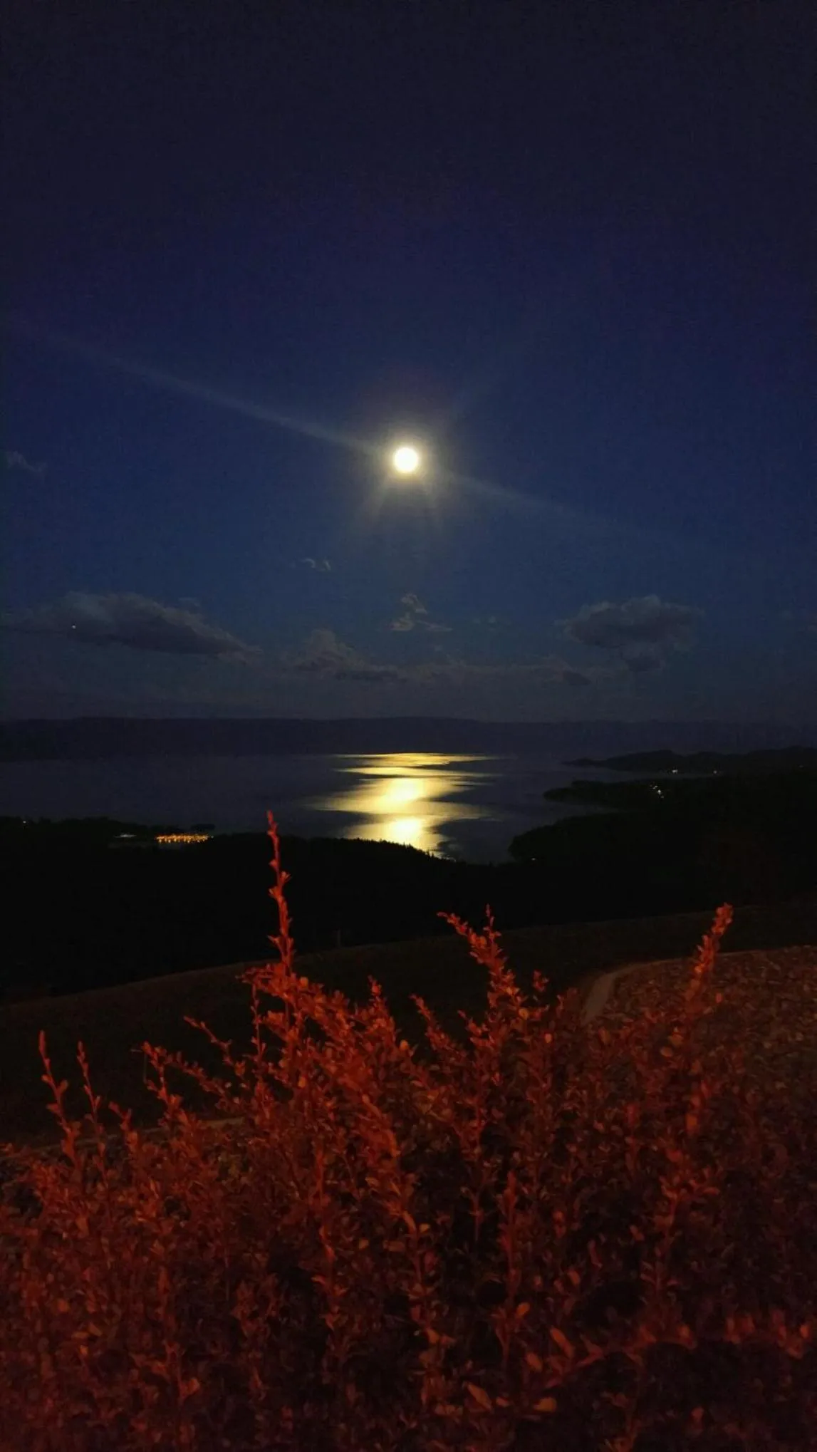 Property building in Coyote Bluff Estate