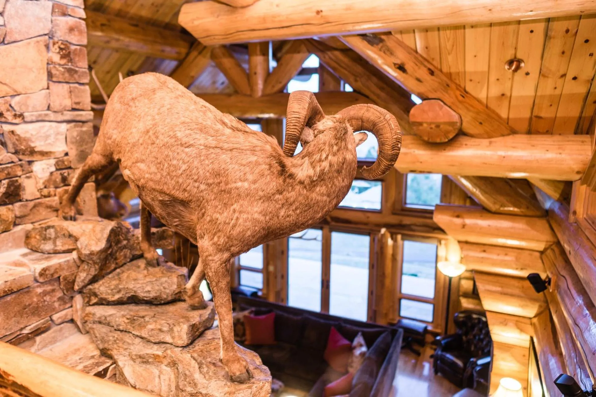 Other in Coyote Bluff Estate