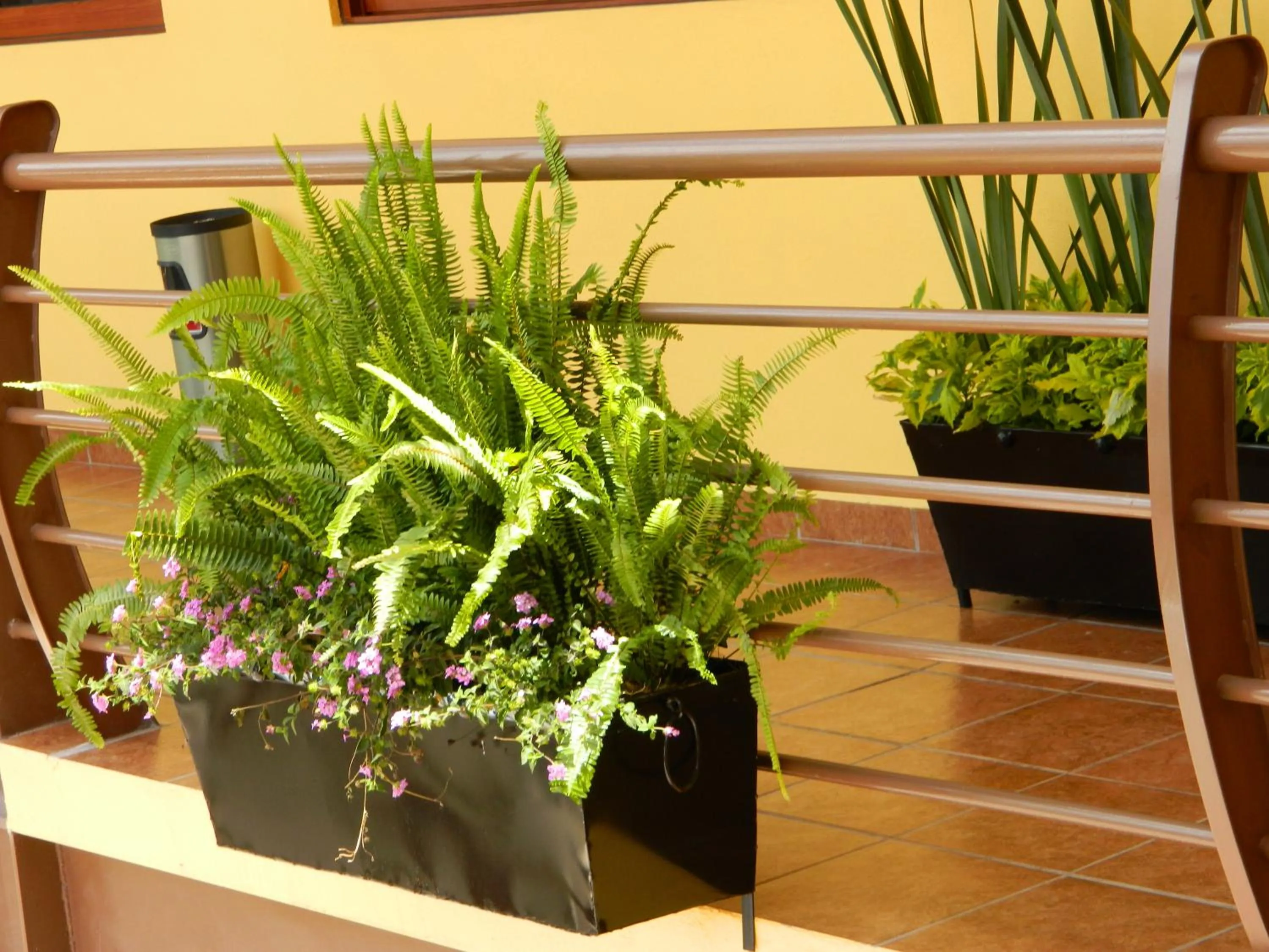 Property building in Hotel Plaza Bernal