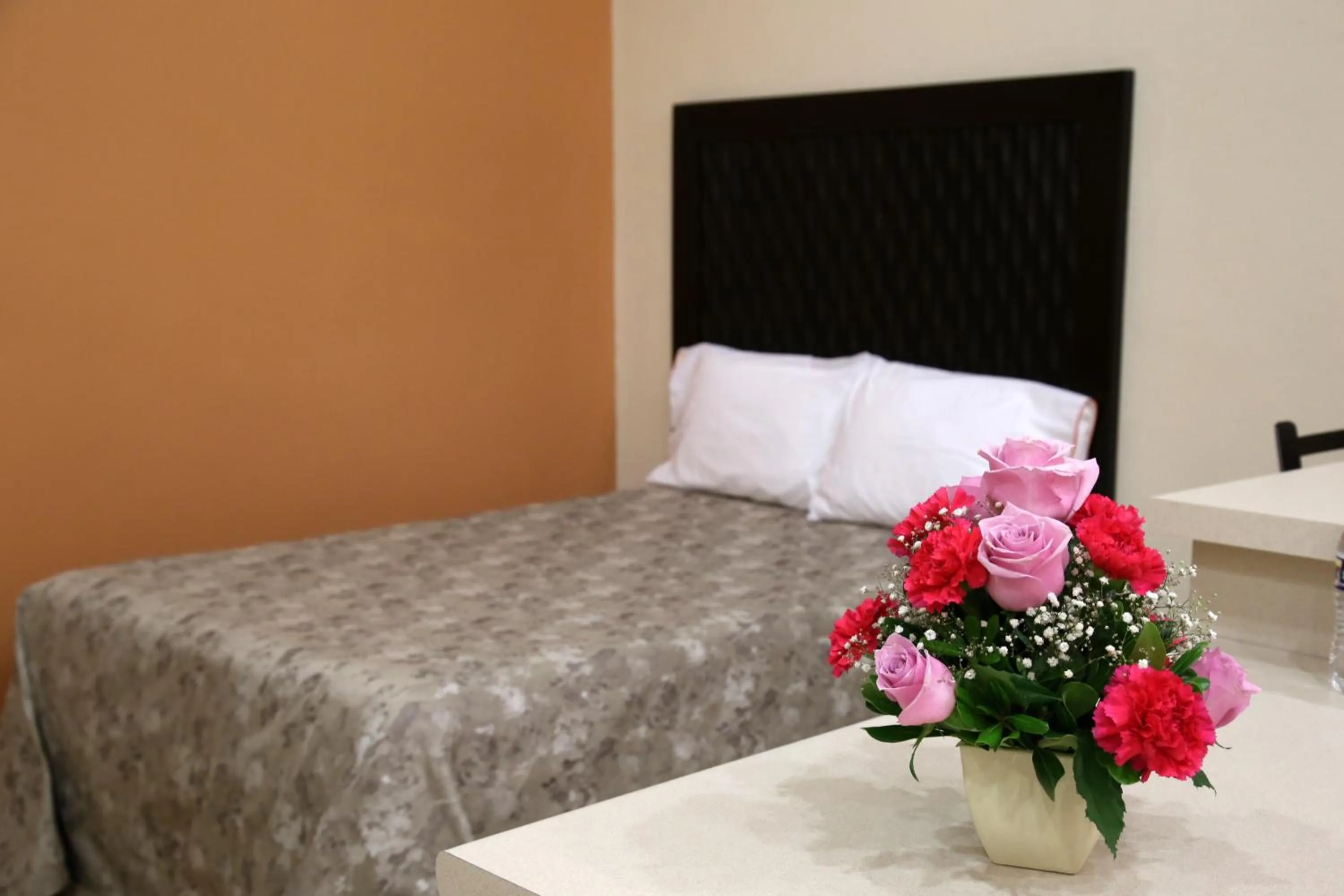 Decorative detail, Bed in Hotel Plaza Bernal