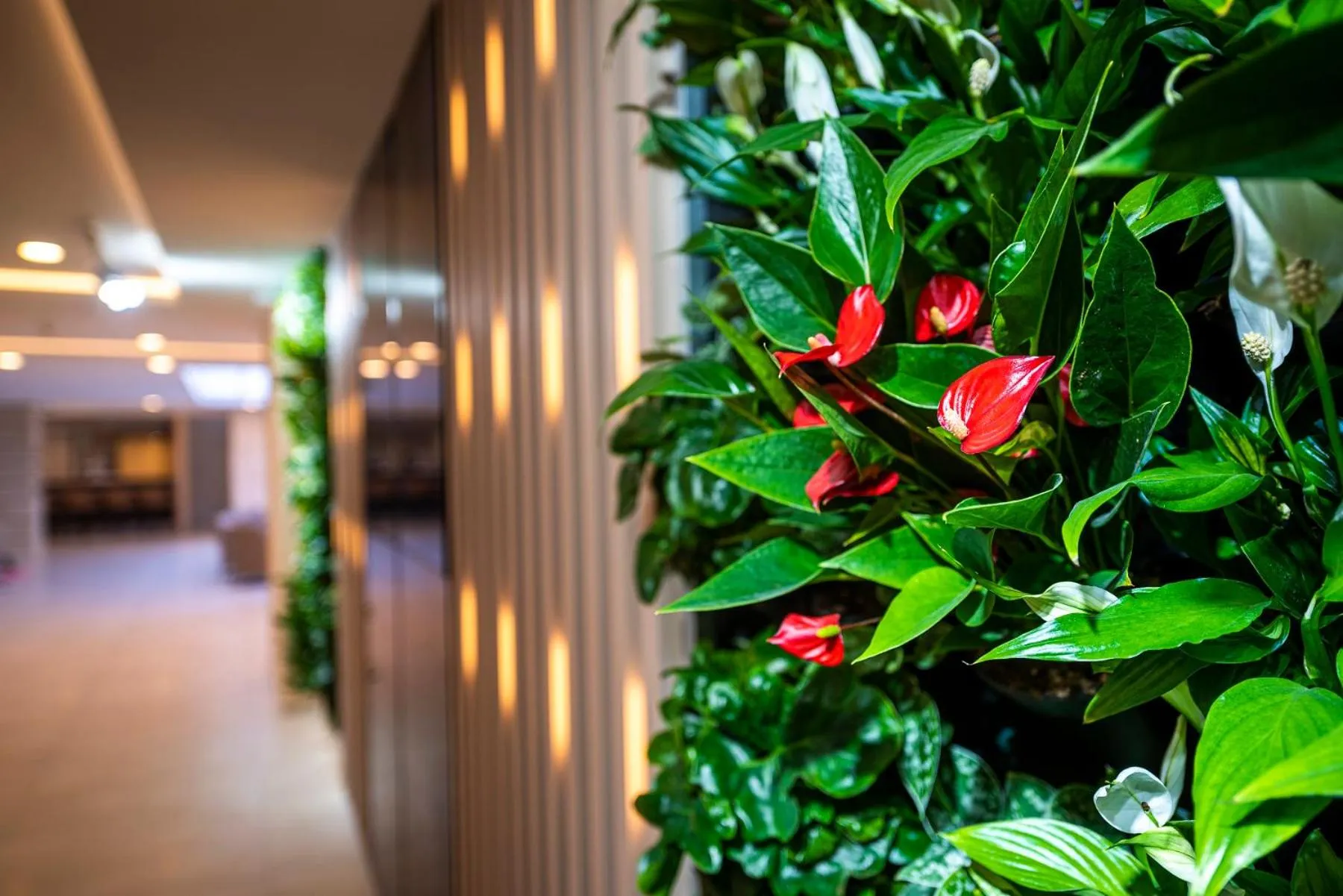 Lobby or reception in Greenfield Hotel Golf & Spa