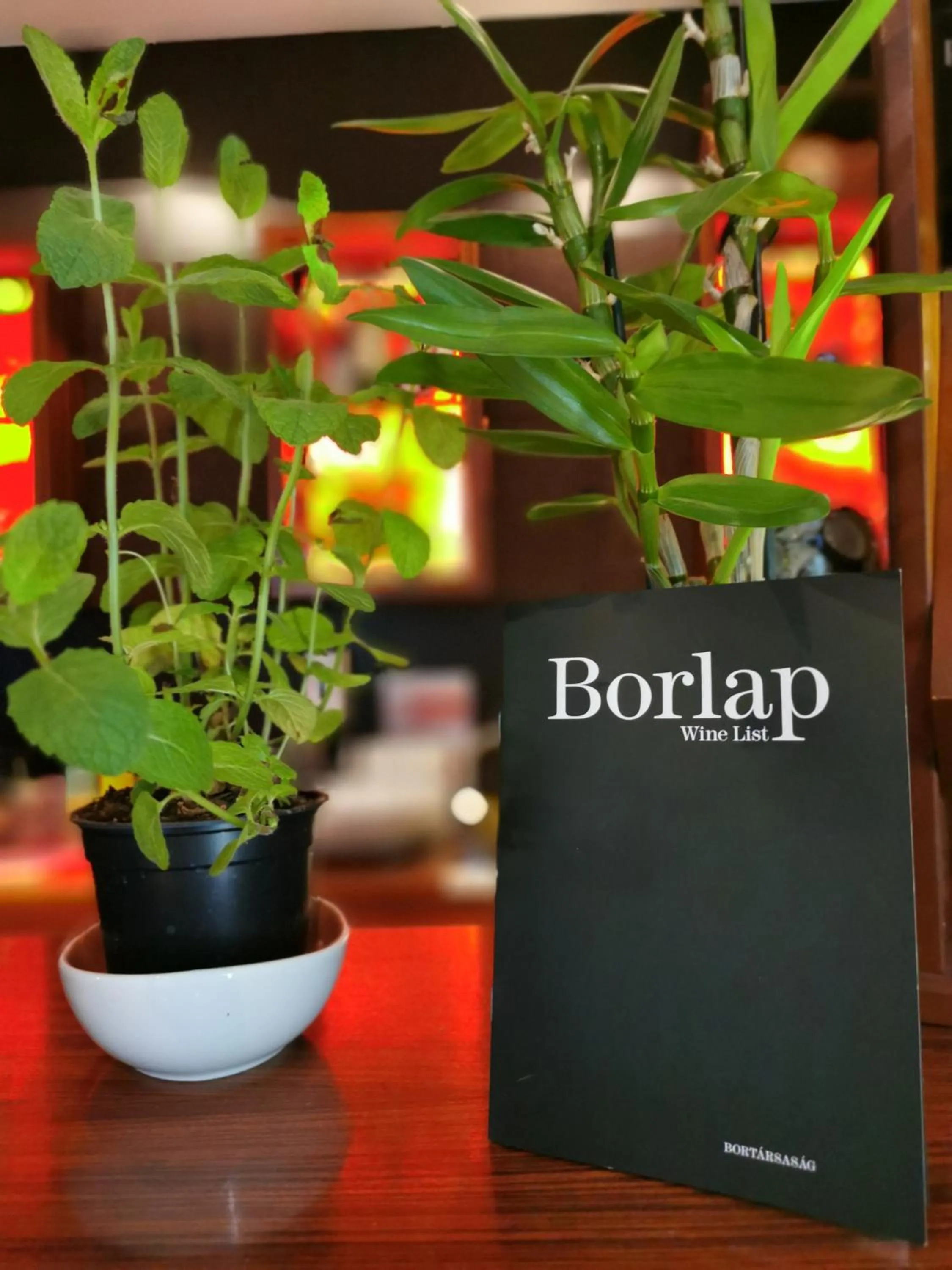 Lounge or bar in Hotel Villa Pax