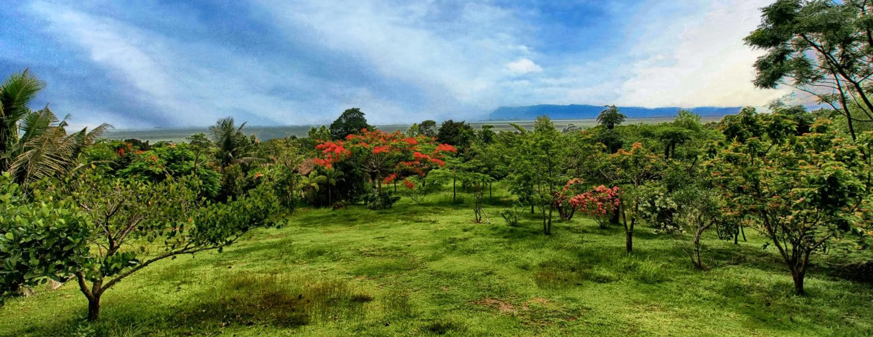 Patio in Q Bungalows
