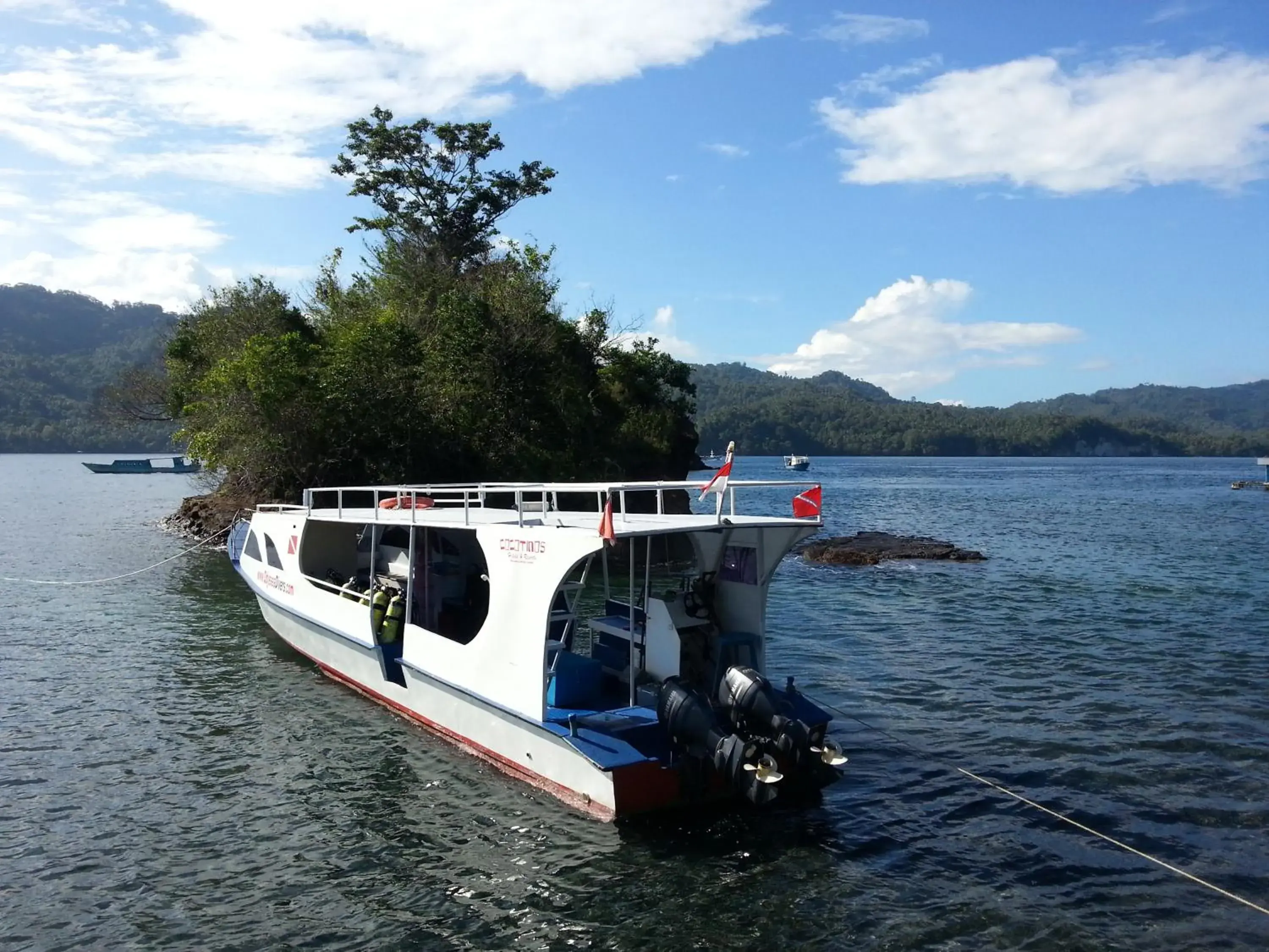 Snorkeling, View in Cocotinos Lembeh A Boutique Dive Lodge