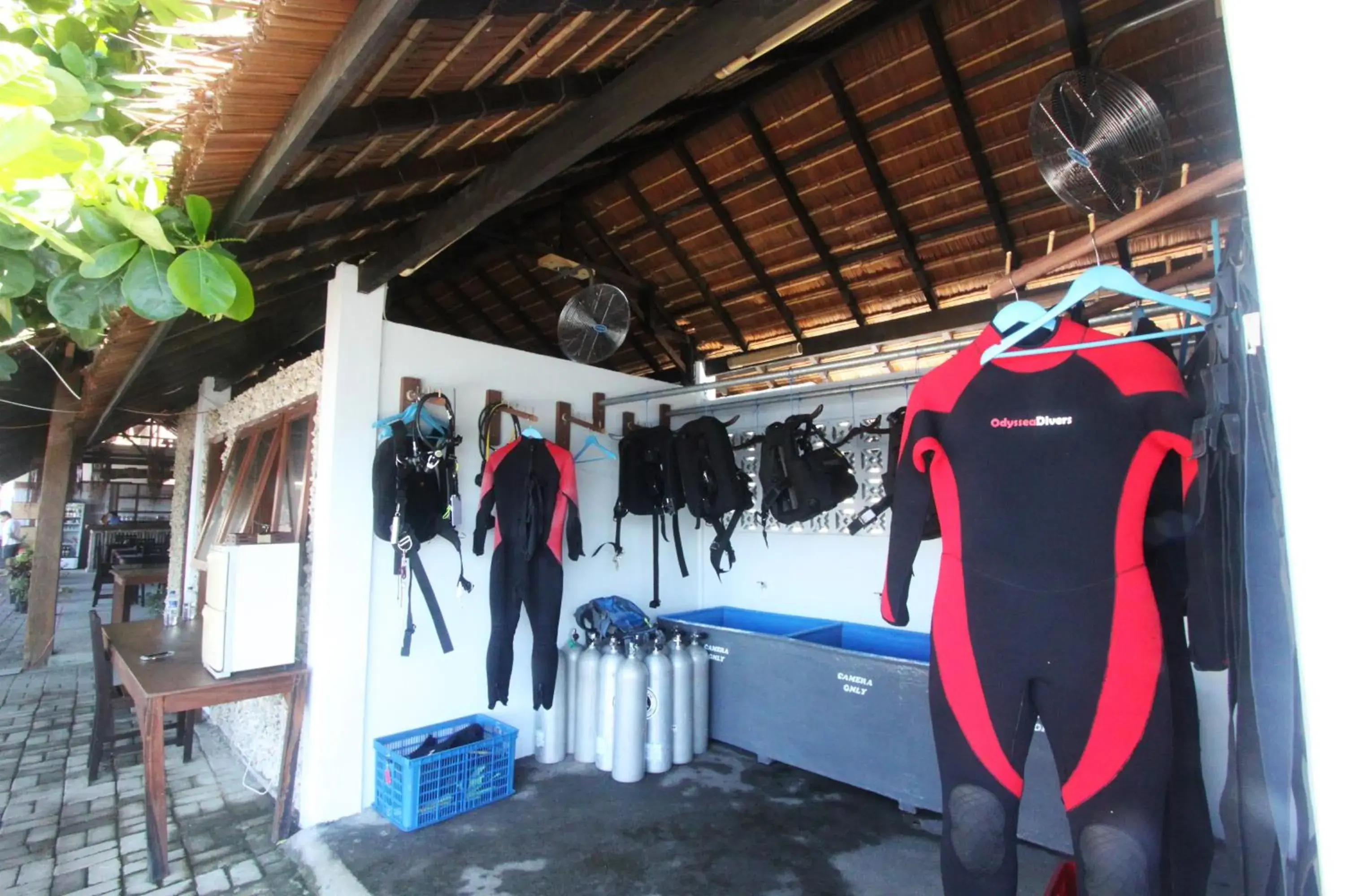Snorkeling, Guests in Cocotinos Lembeh A Boutique Dive Lodge