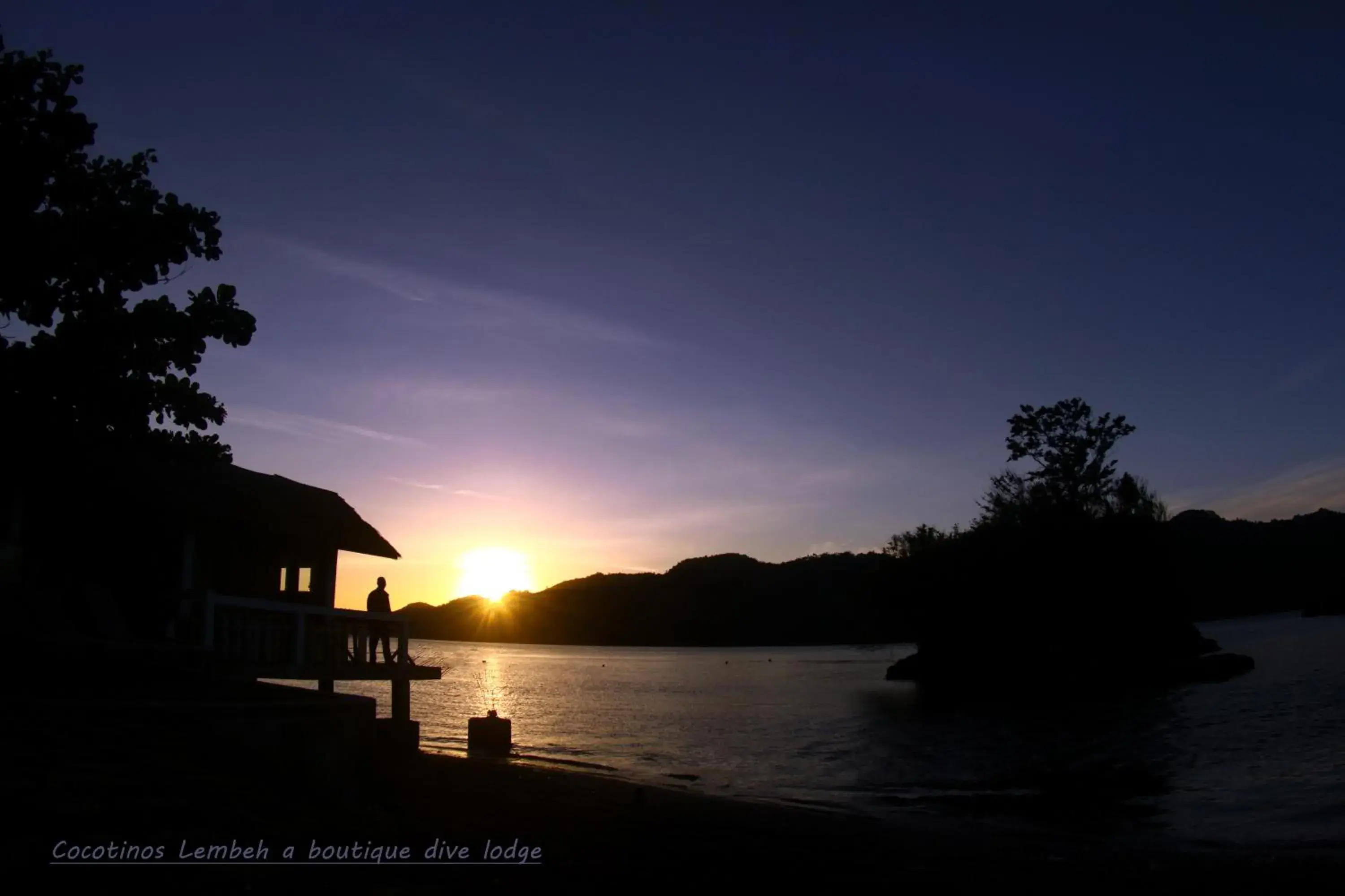 Beach in Cocotinos Lembeh A Boutique Dive Lodge