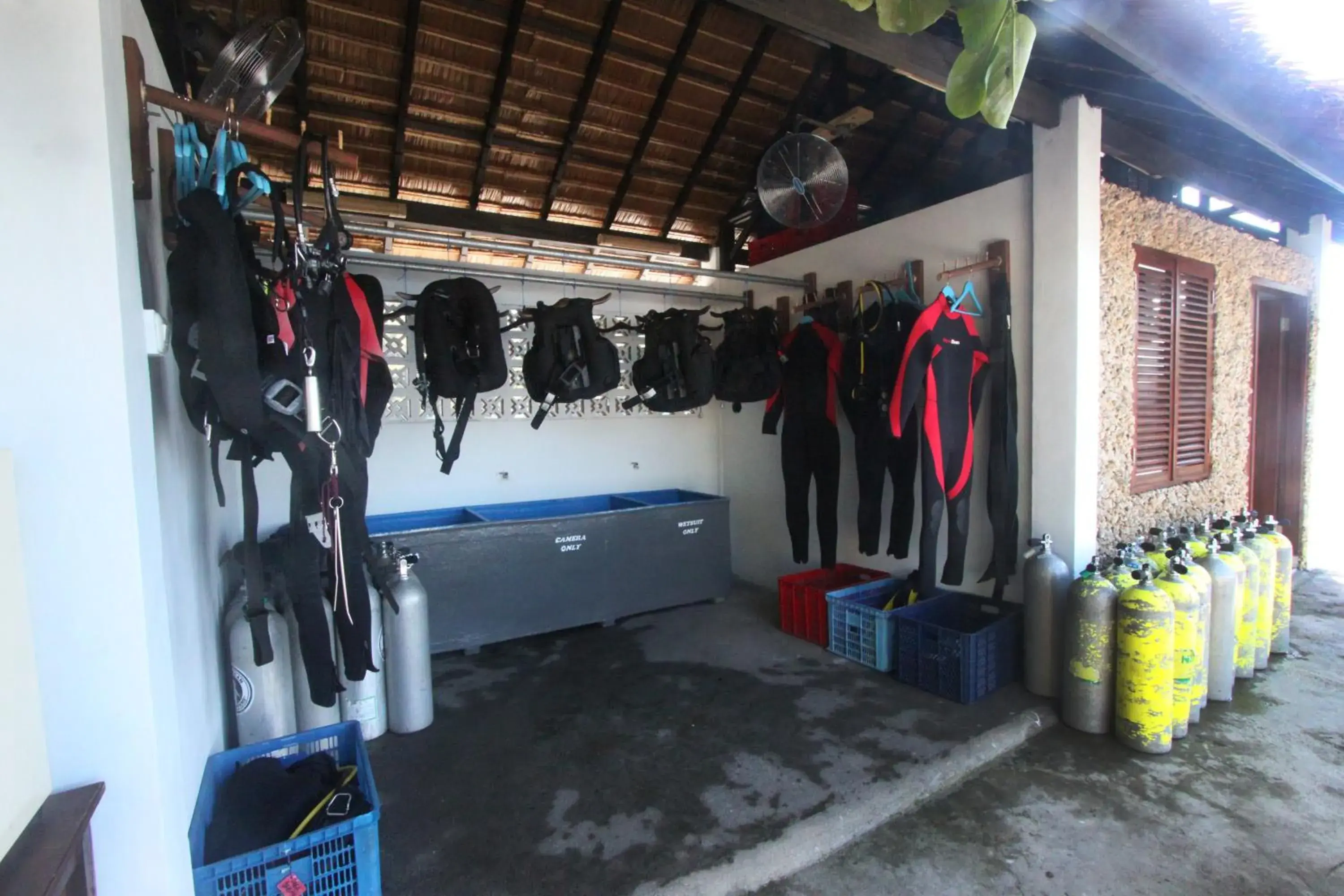 Snorkeling, Lobby/Reception in Cocotinos Lembeh A Boutique Dive Lodge