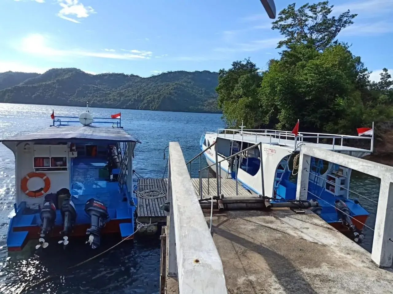 View (from property/room) in Cocotinos Lembeh a Boutique Dive Lodge View (from property/room) in Cocotinos Lembeh a Boutique Dive Lodge